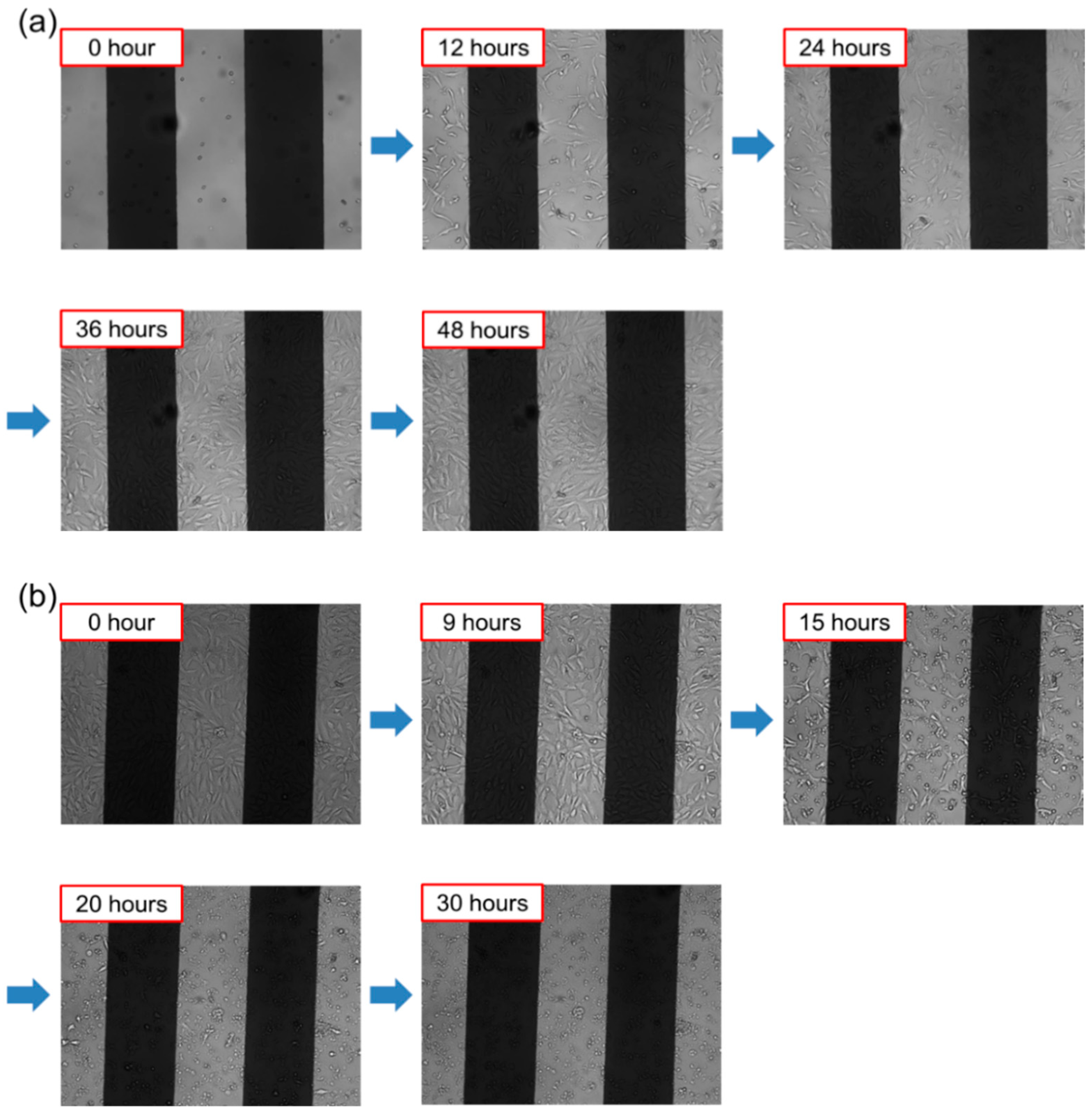 Biosensors 15 00788 g0a6