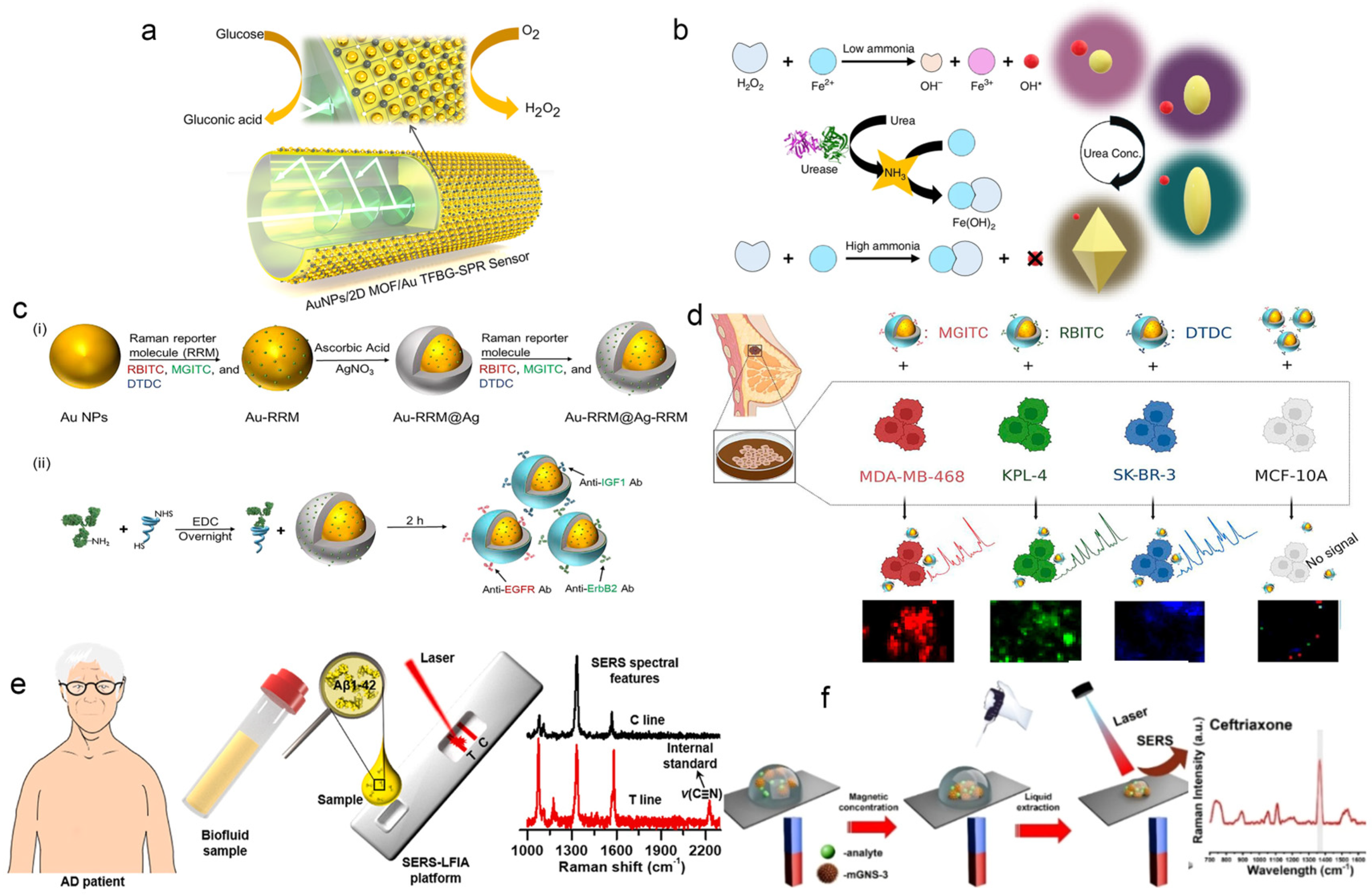 Biosensors 15 00789 g001 Biosensors 15 00789 g001
