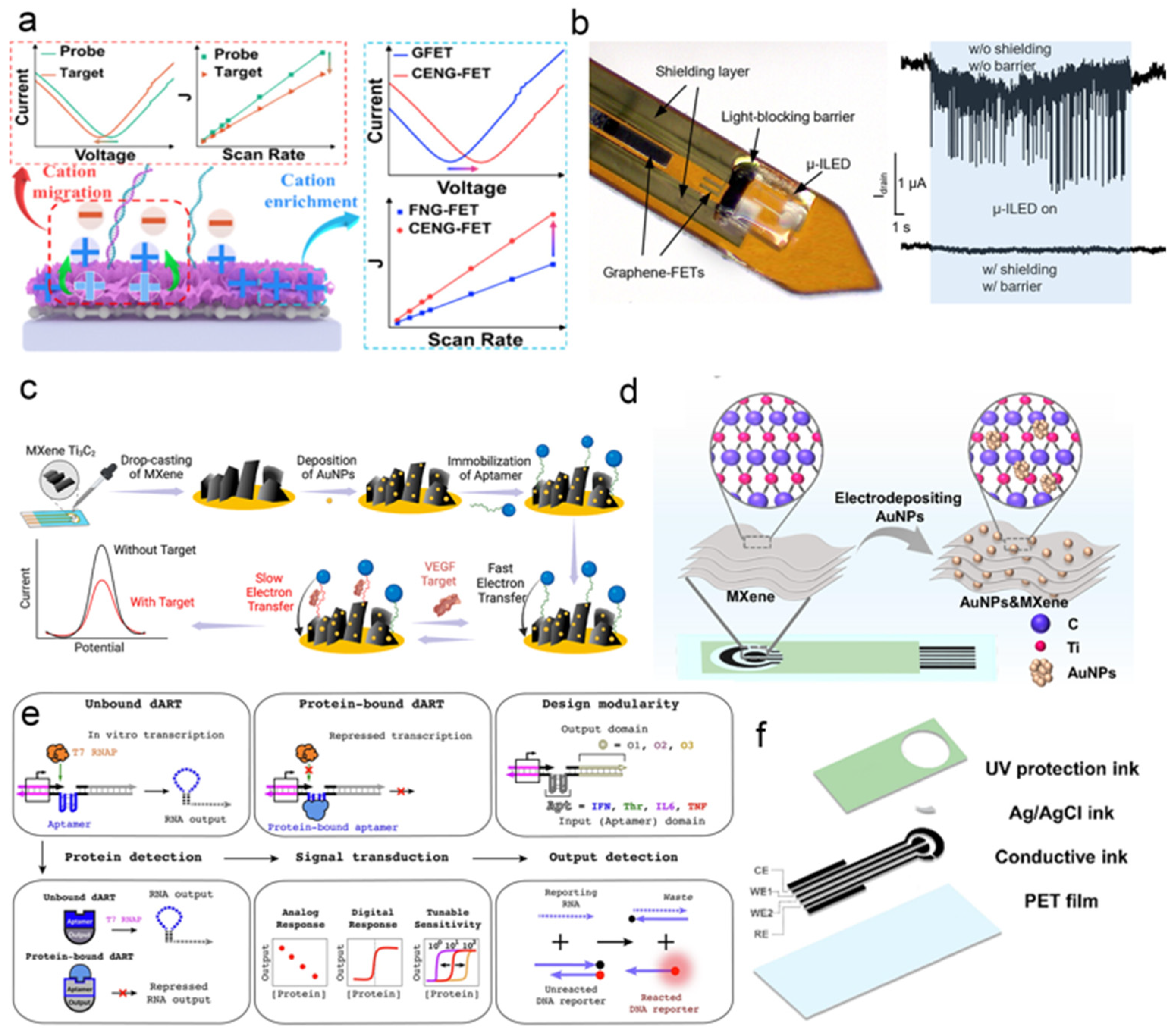 Biosensors 15 00789 g003 Biosensors 15 00789 g003