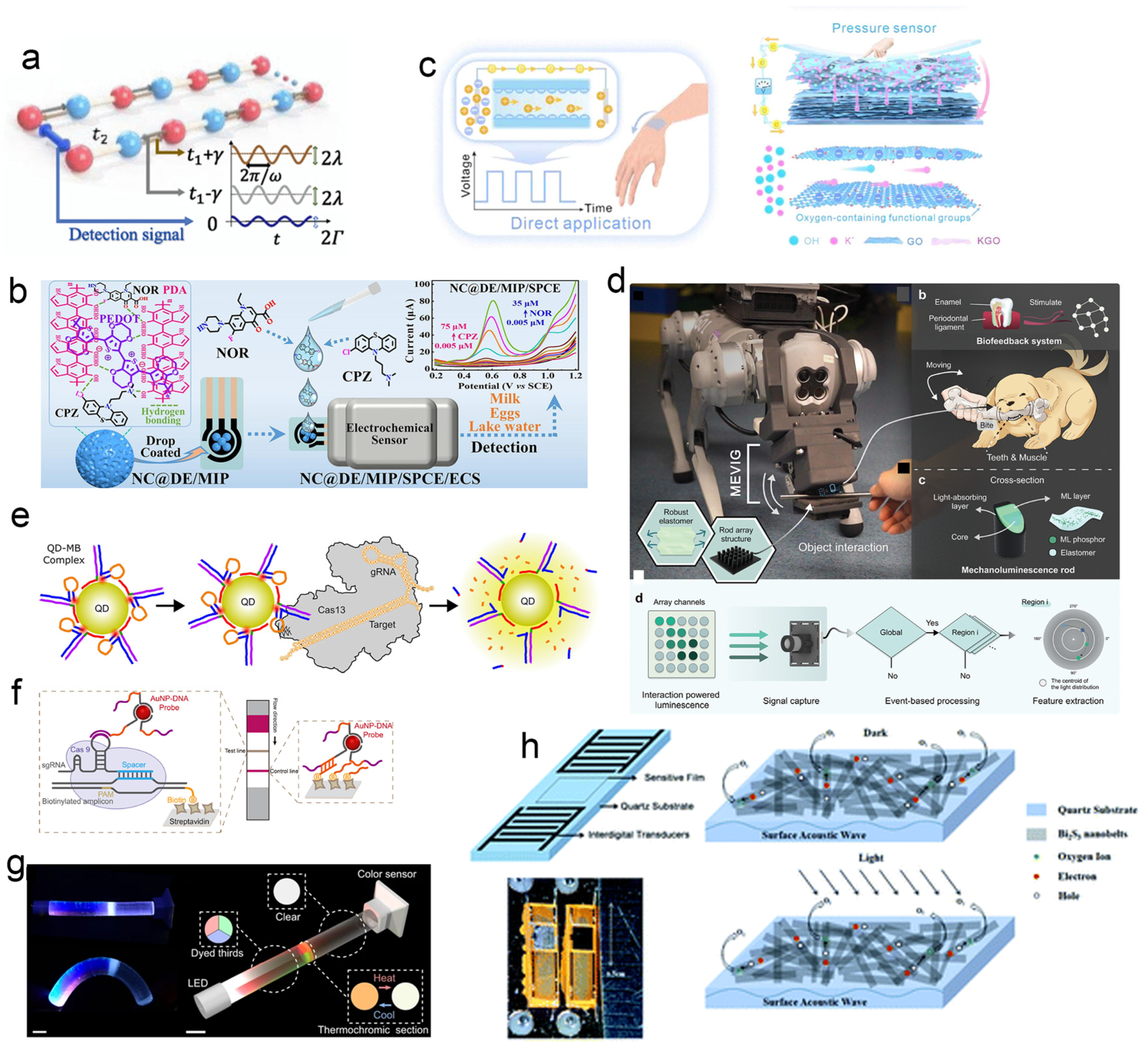 Biosensors 15 00789 g004 Biosensors 15 00789 g004