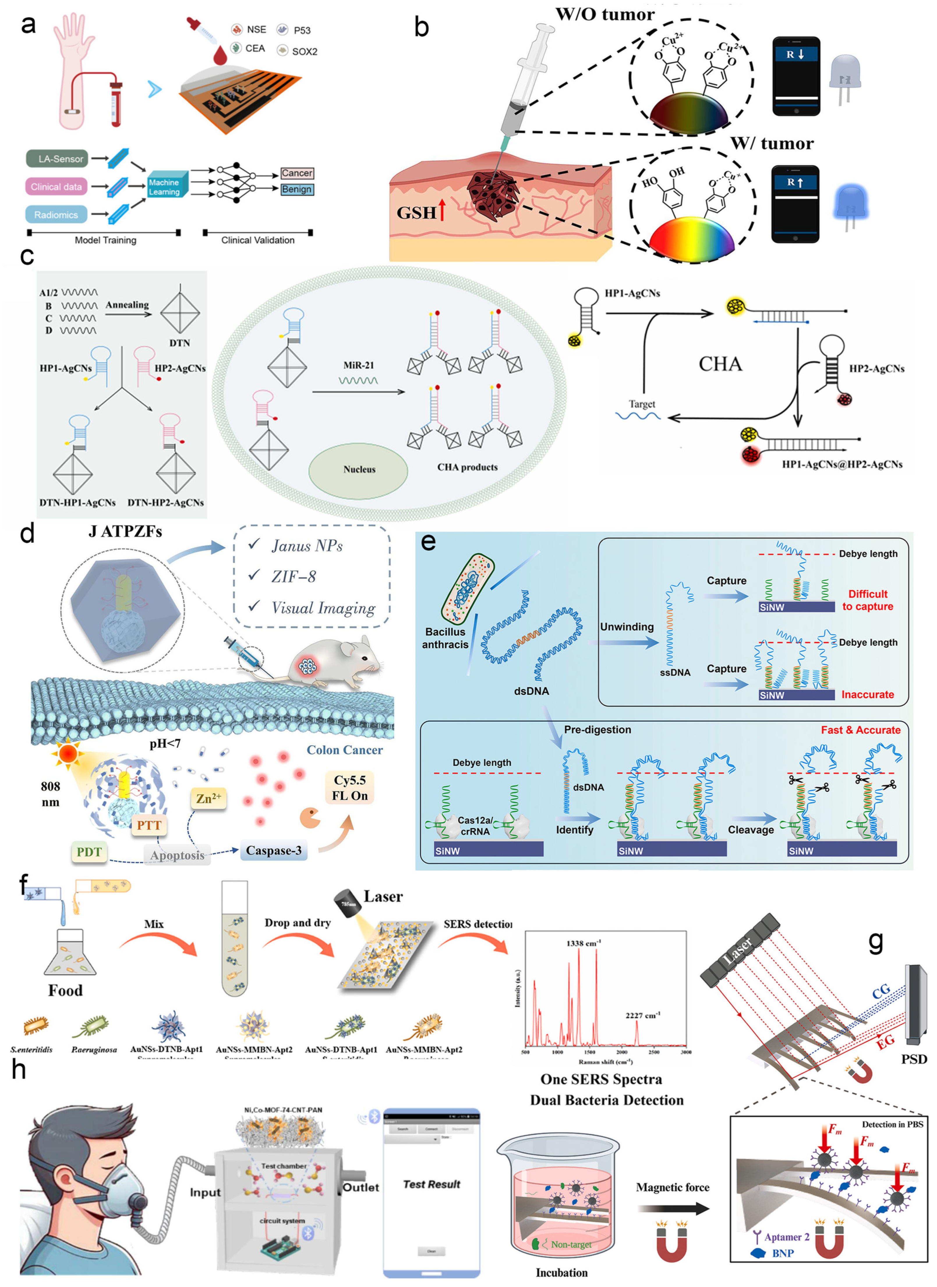Biosensors 15 00789 g005 Biosensors 15 00789 g005