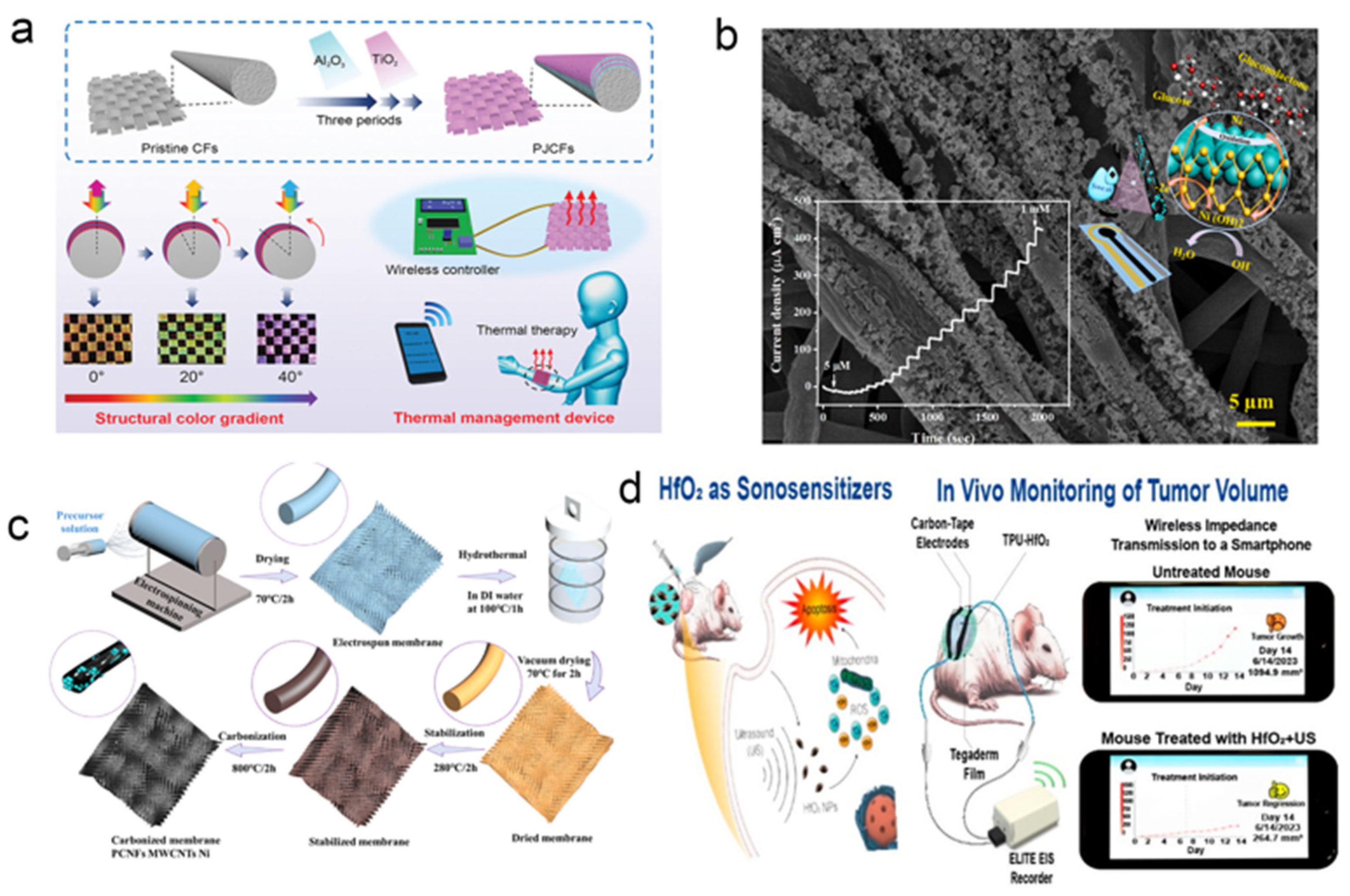 Biosensors 15 00789 g006 Biosensors 15 00789 g006
