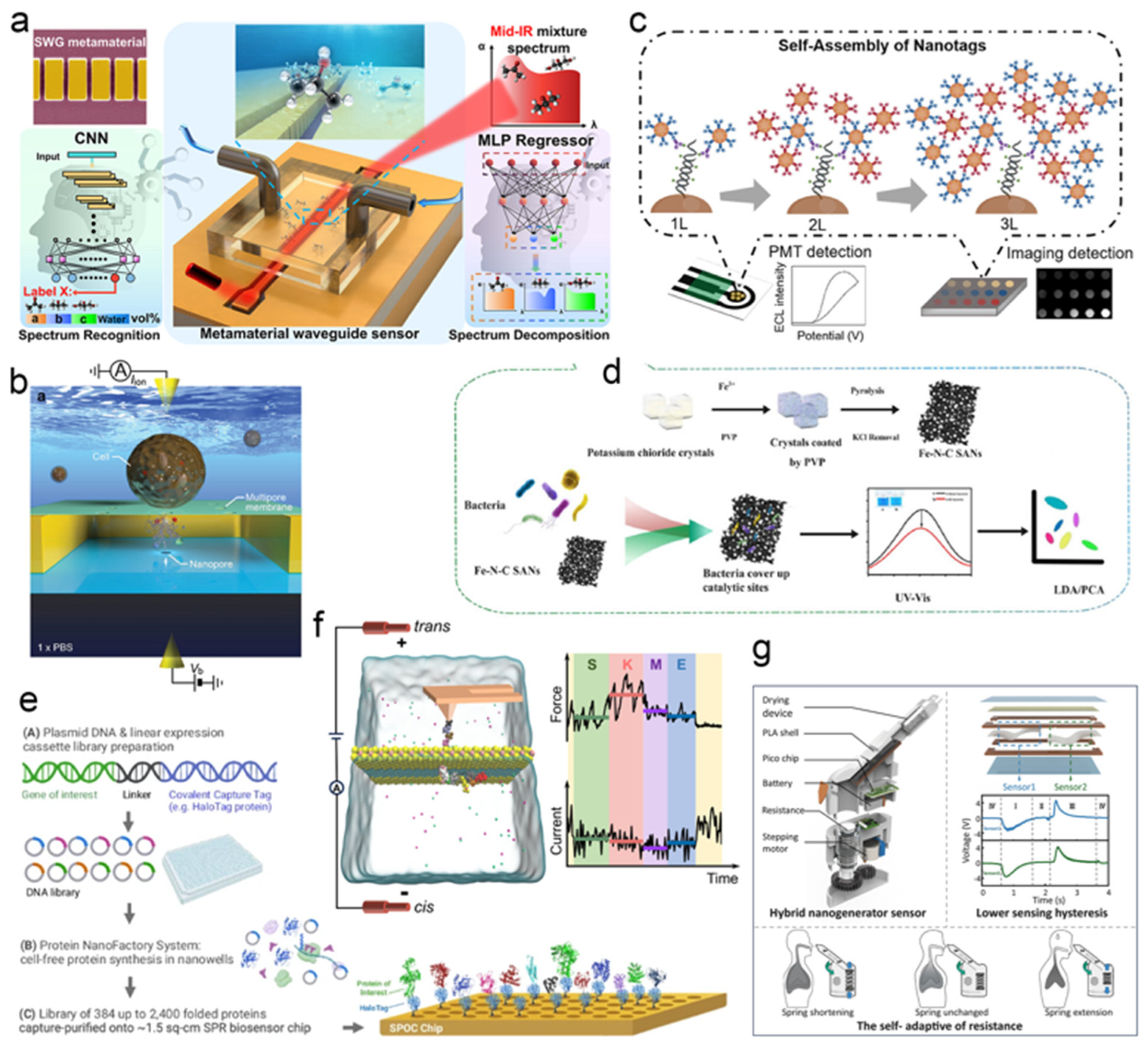 Biosensors 15 00789 g008 Biosensors 15 00789 g008