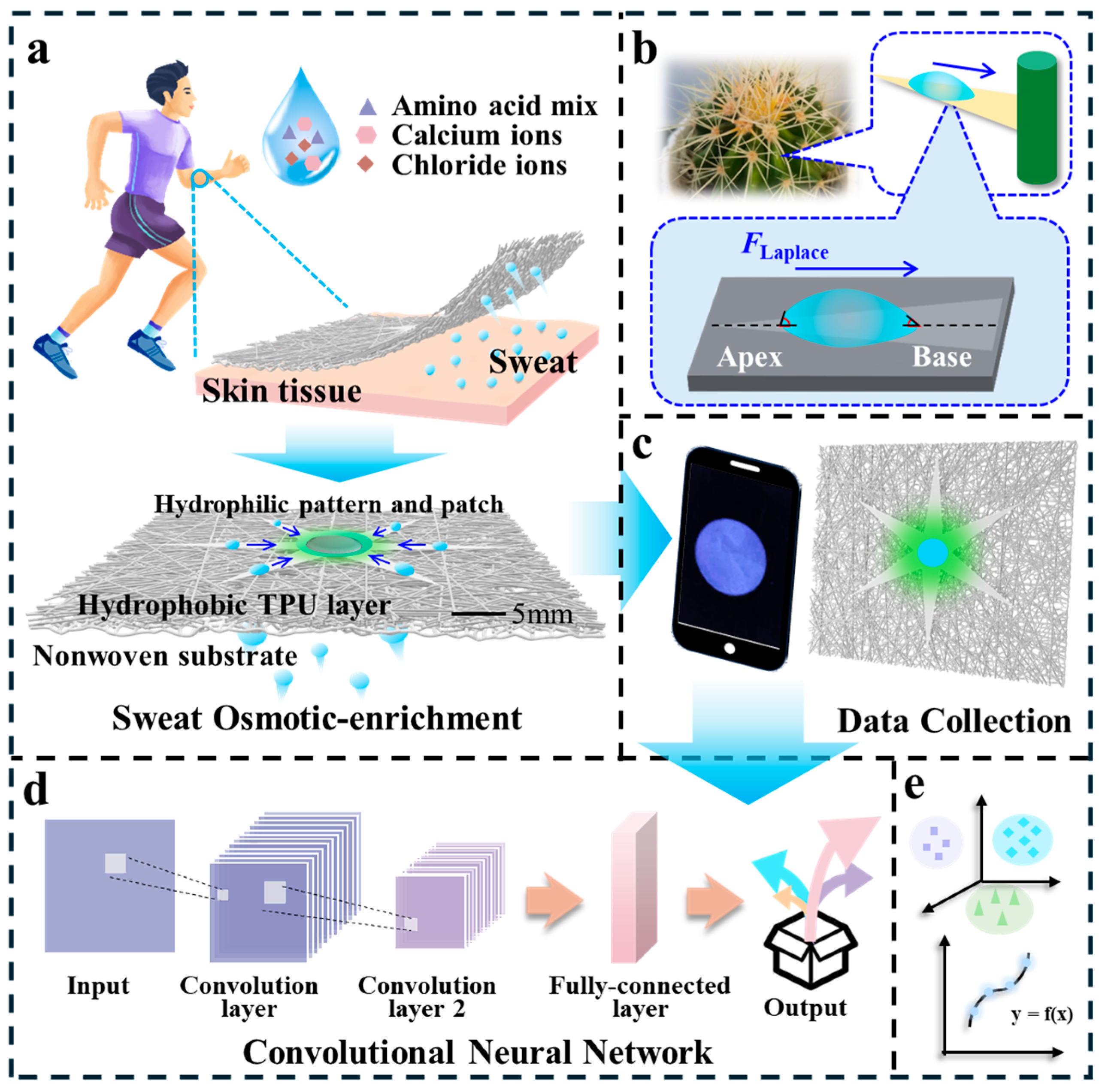 Biosensors 15 00790 g001