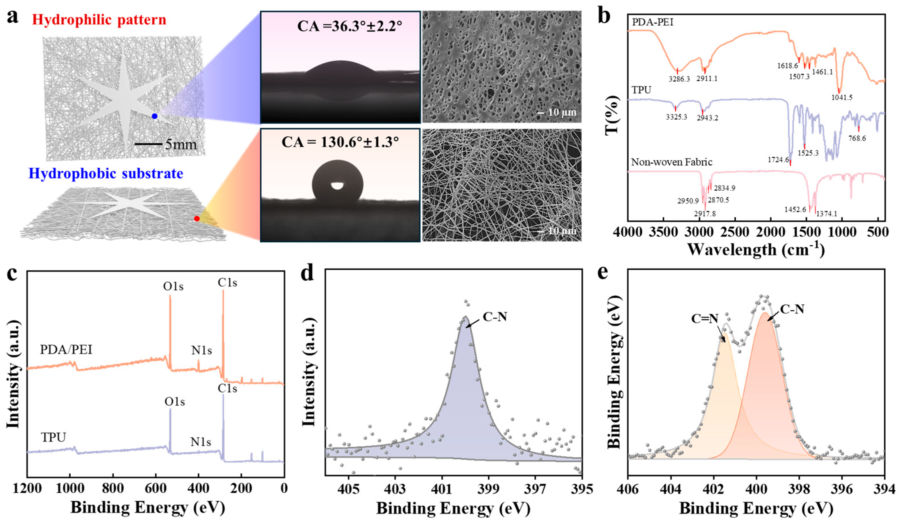 Biosensors 15 00790 g002