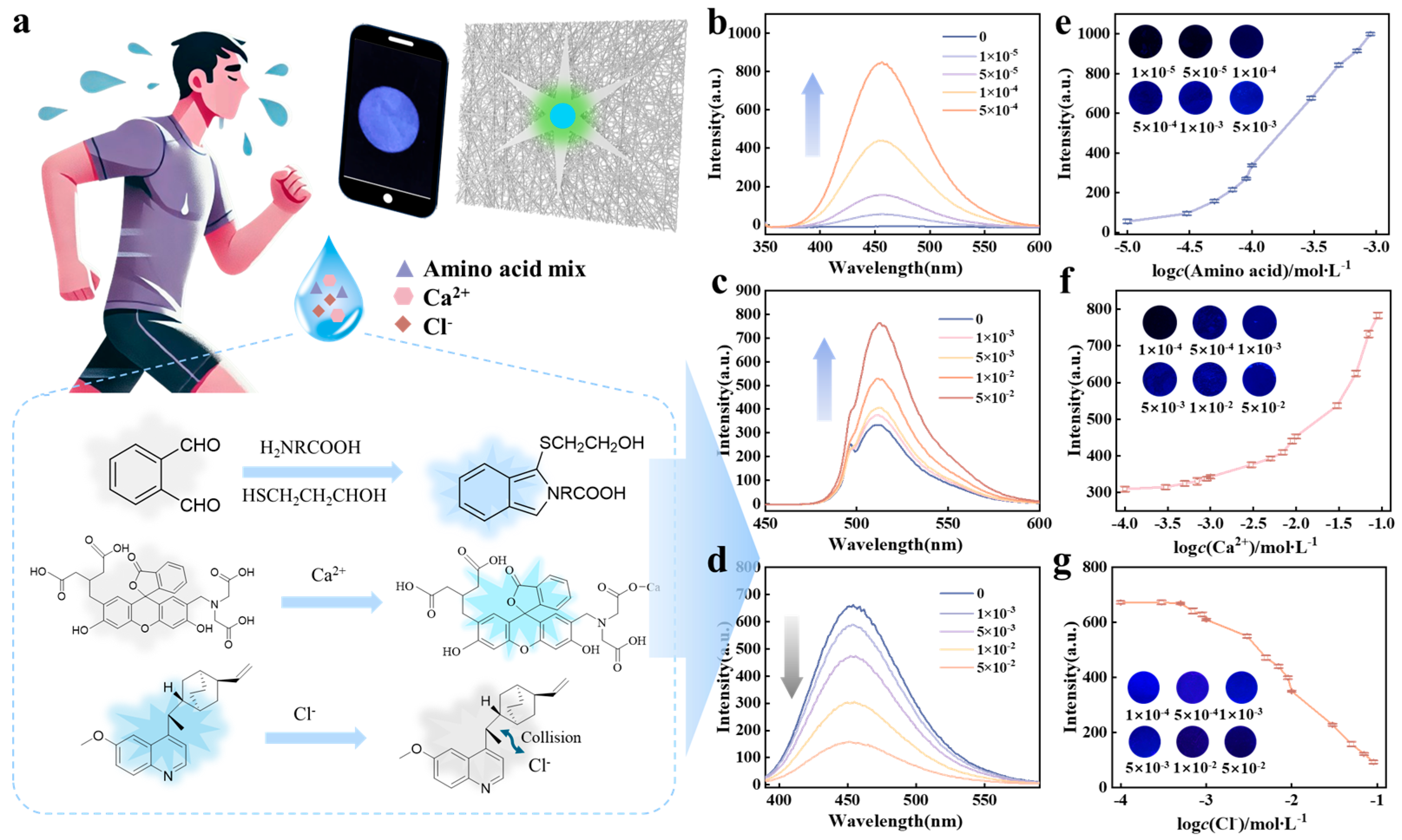 Biosensors 15 00790 g004
