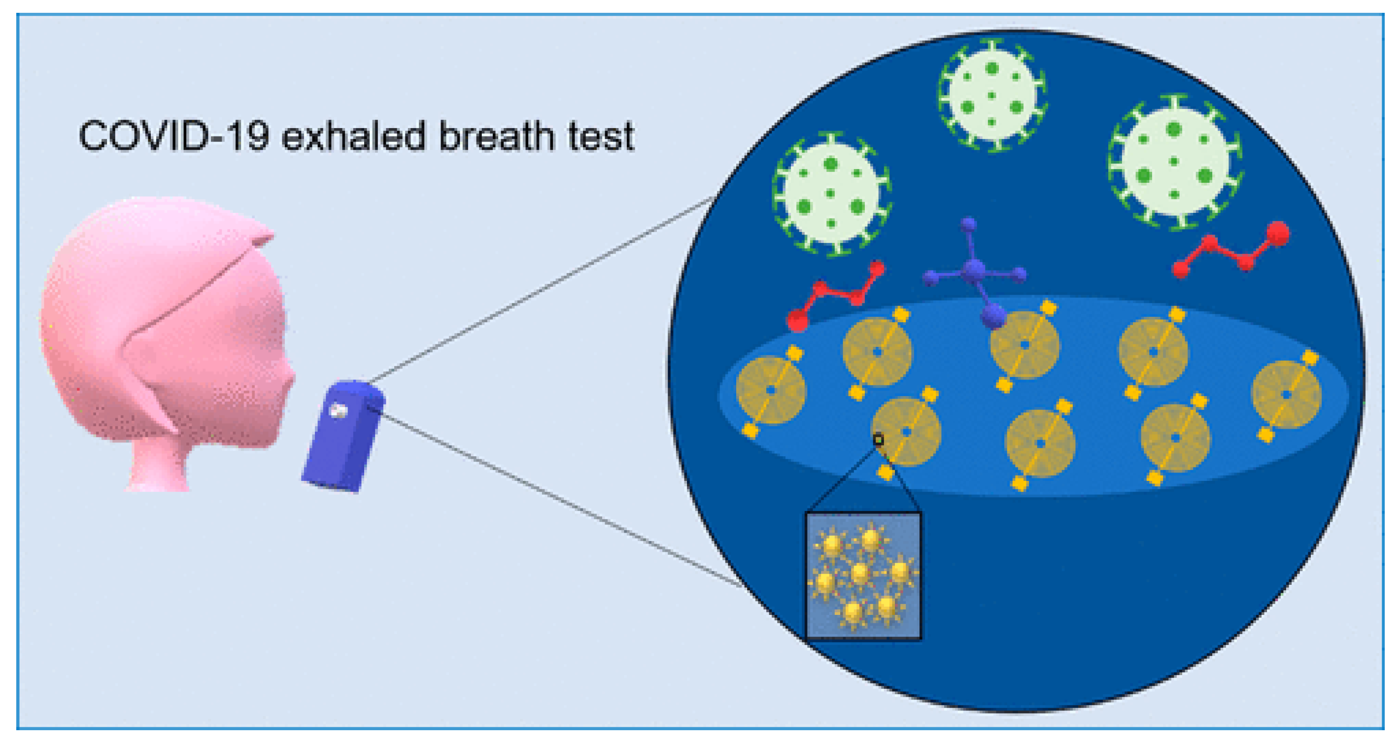 Biosensors 15 00792 g001