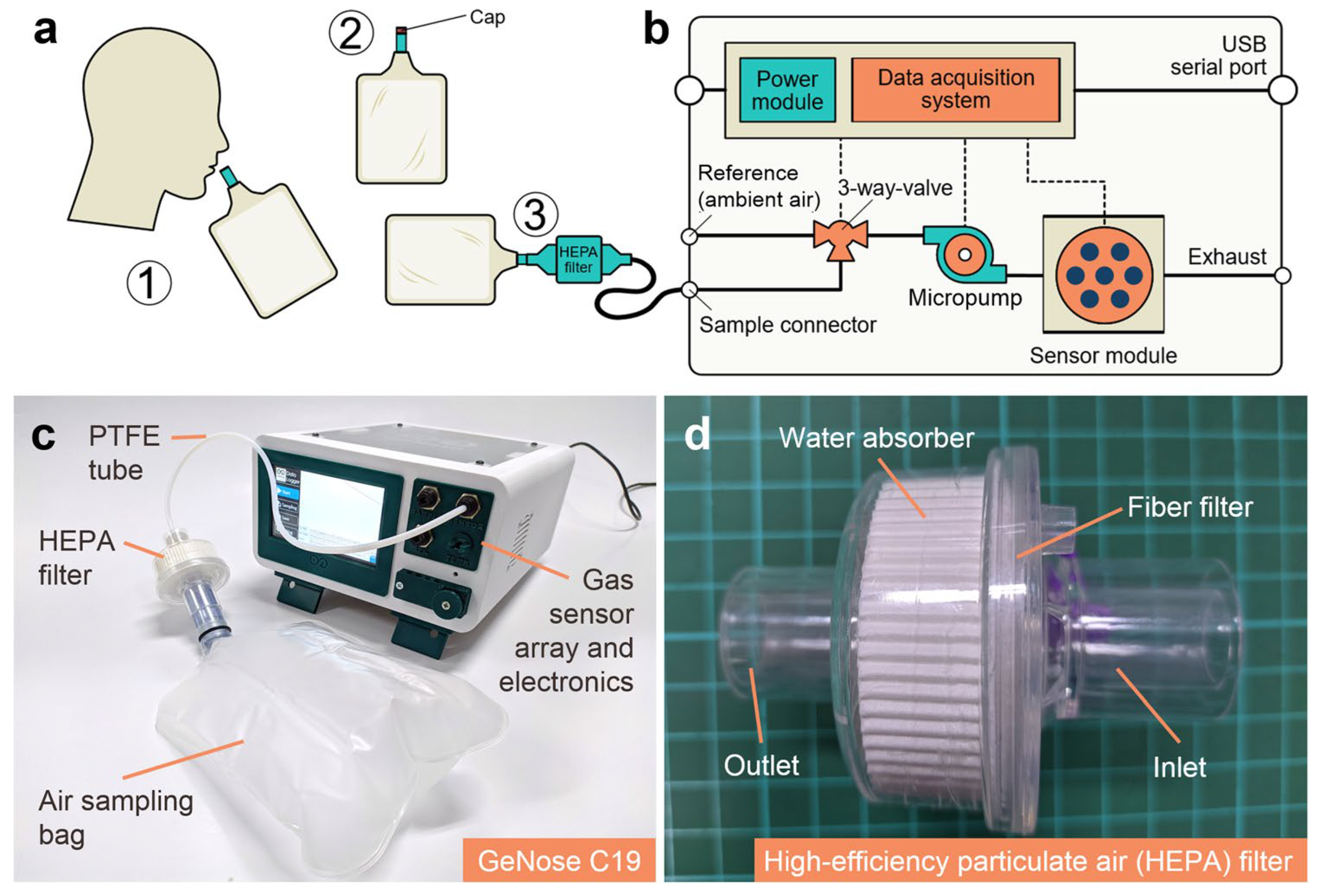 Biosensors 15 00792 g002