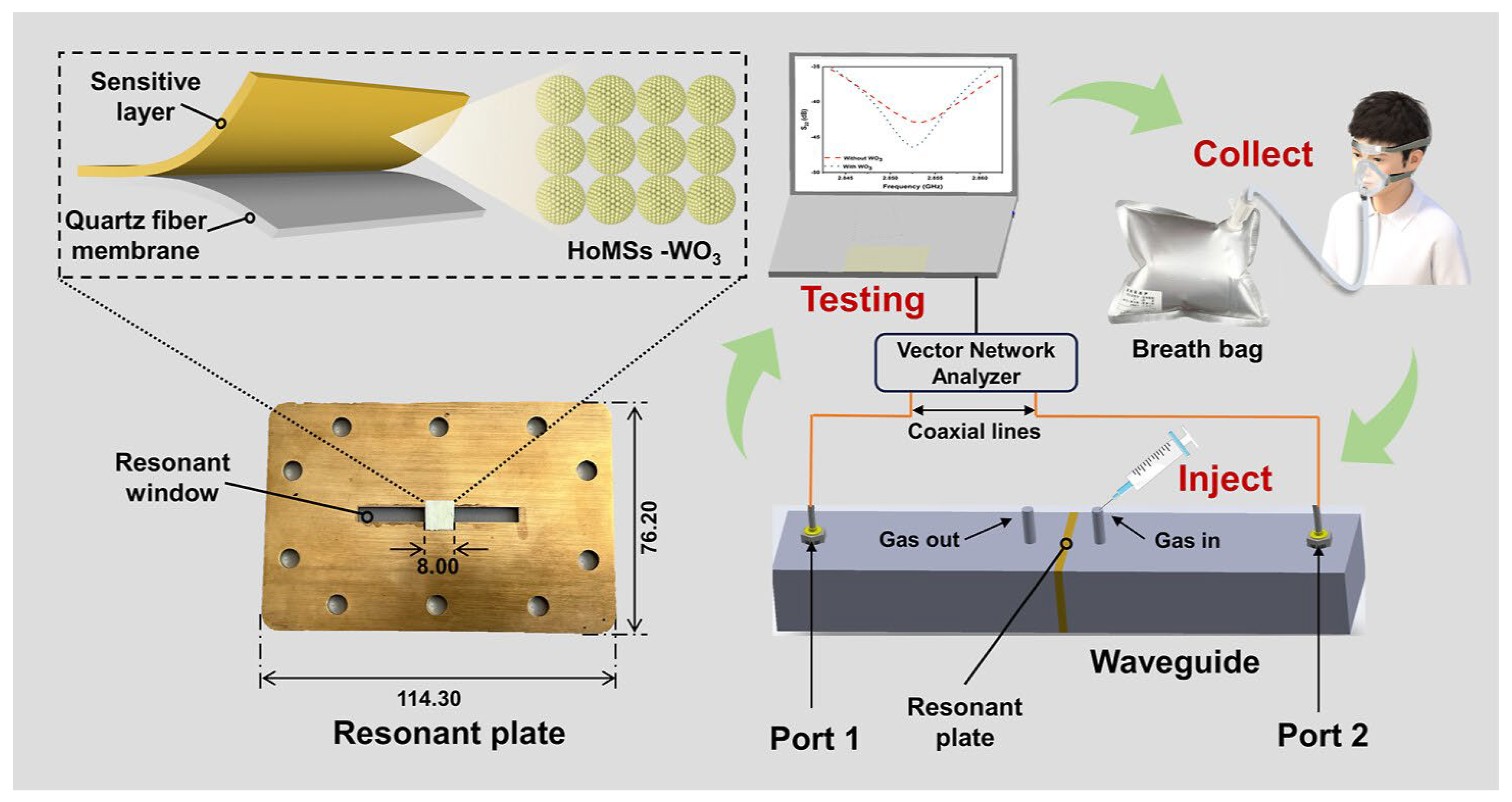 Biosensors 15 00792 g006