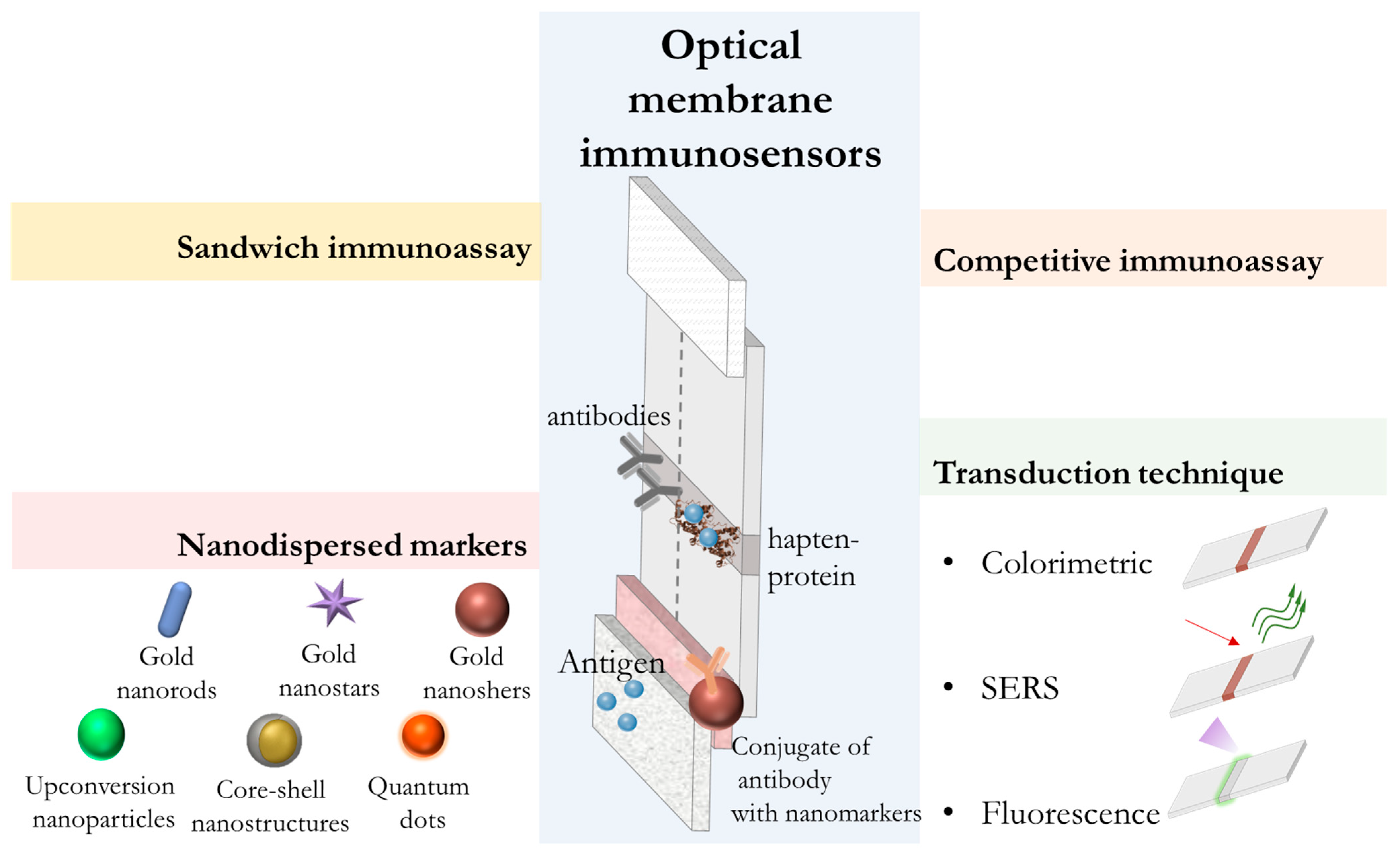 Biosensors 15 00794 g004 Biosensors 15 00794 g004