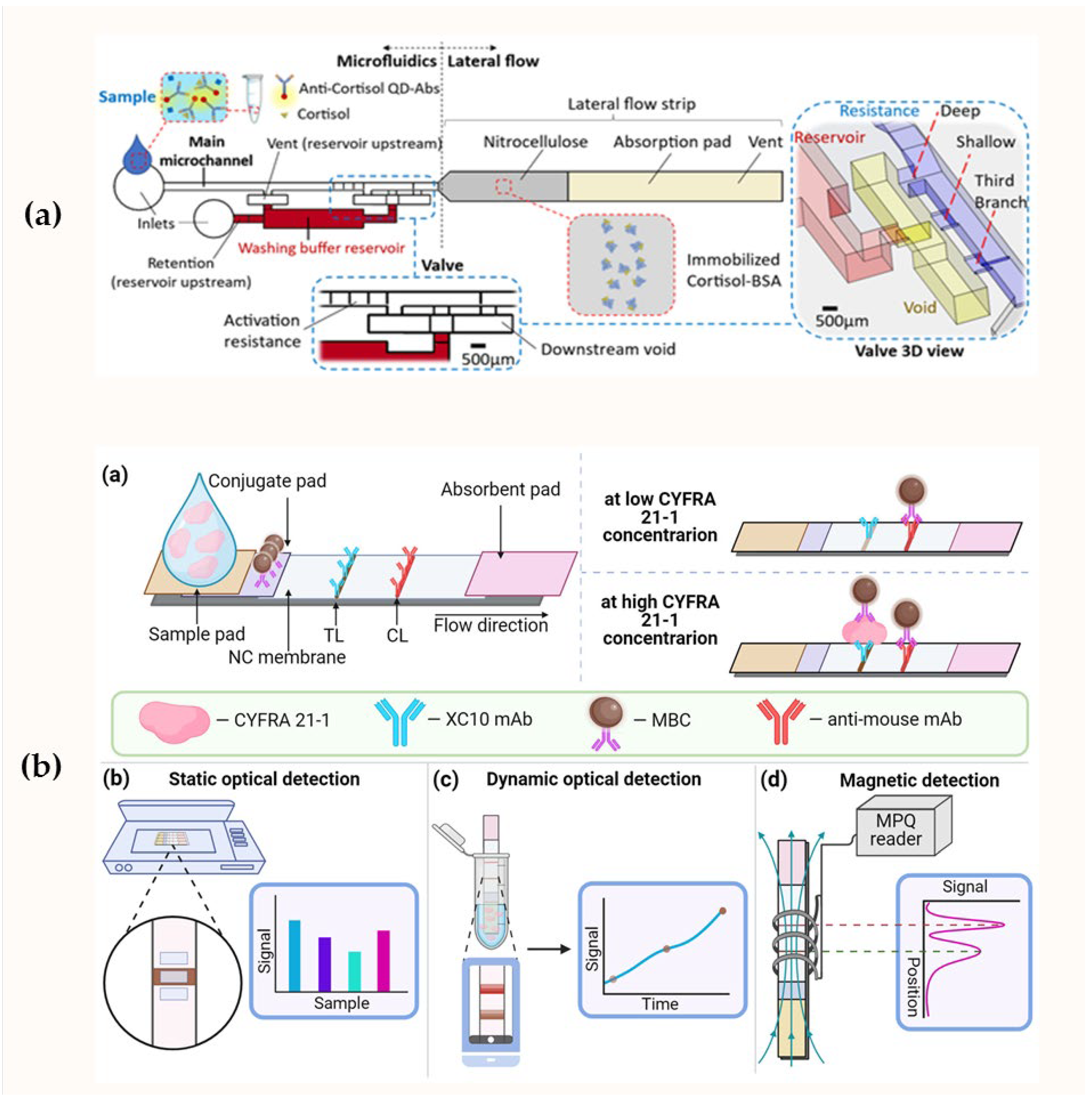 Biosensors 15 00794 g005 Biosensors 15 00794 g005