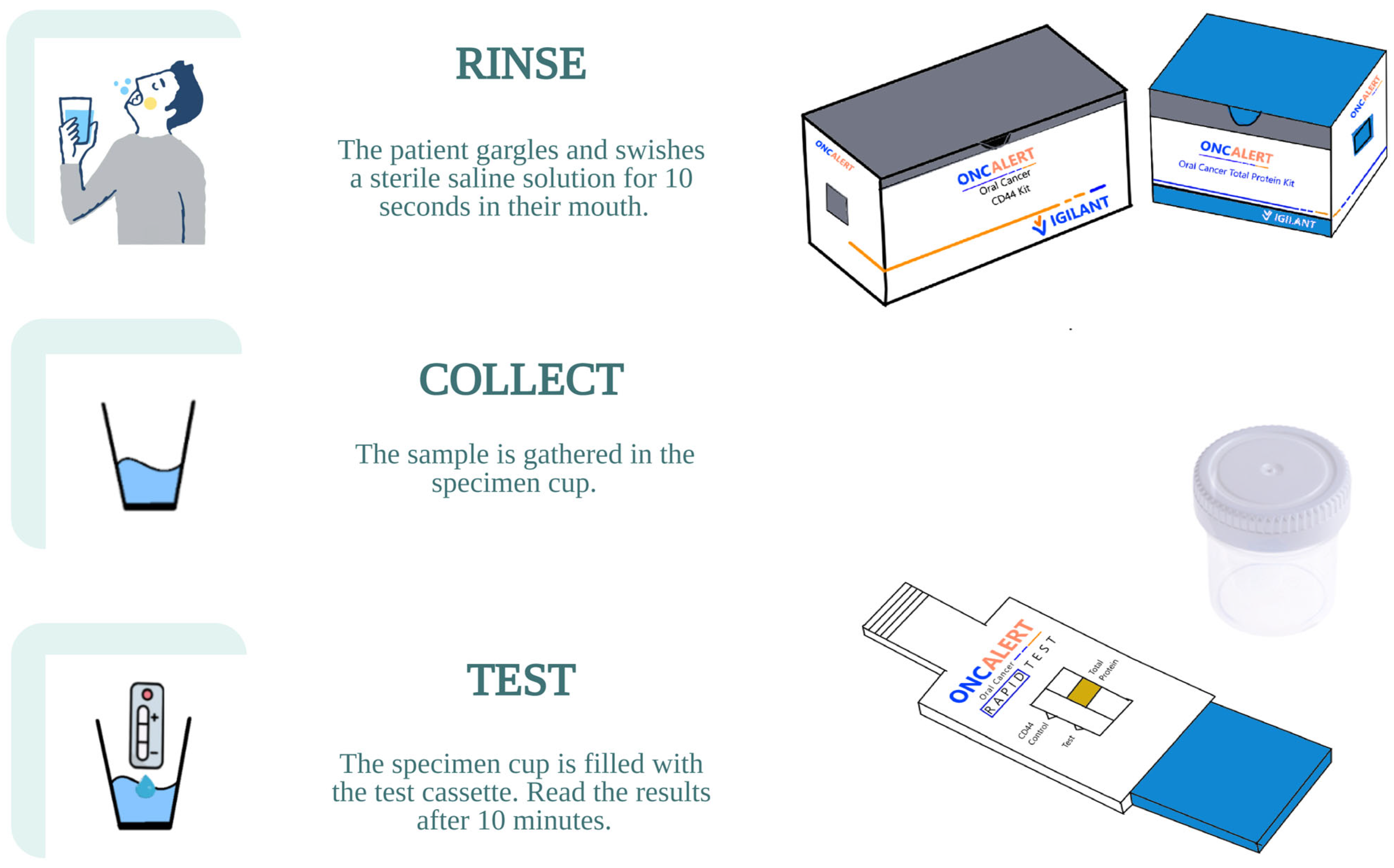 Biosensors 15 00796 g002