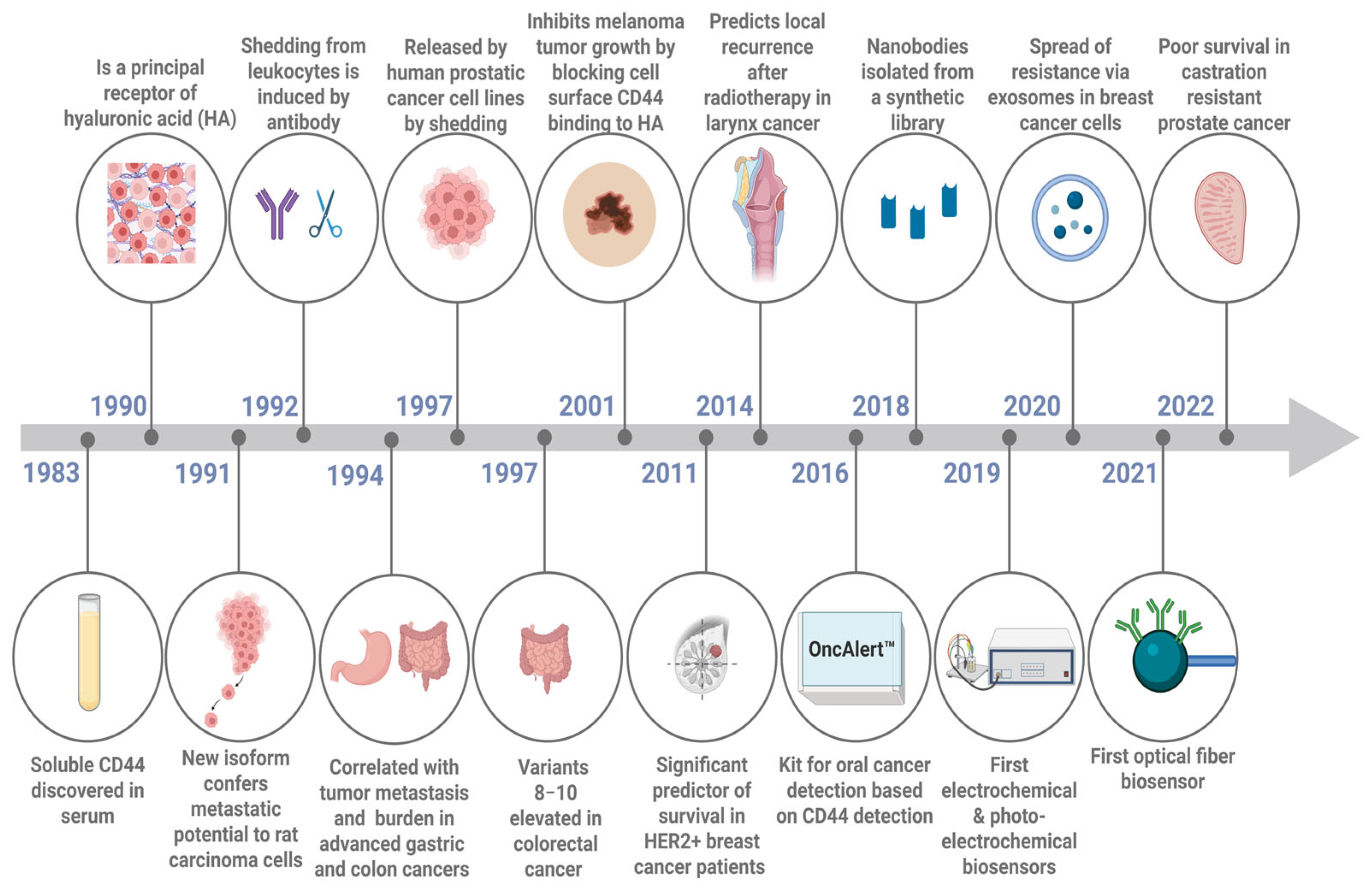 Biosensors 15 00796 g004