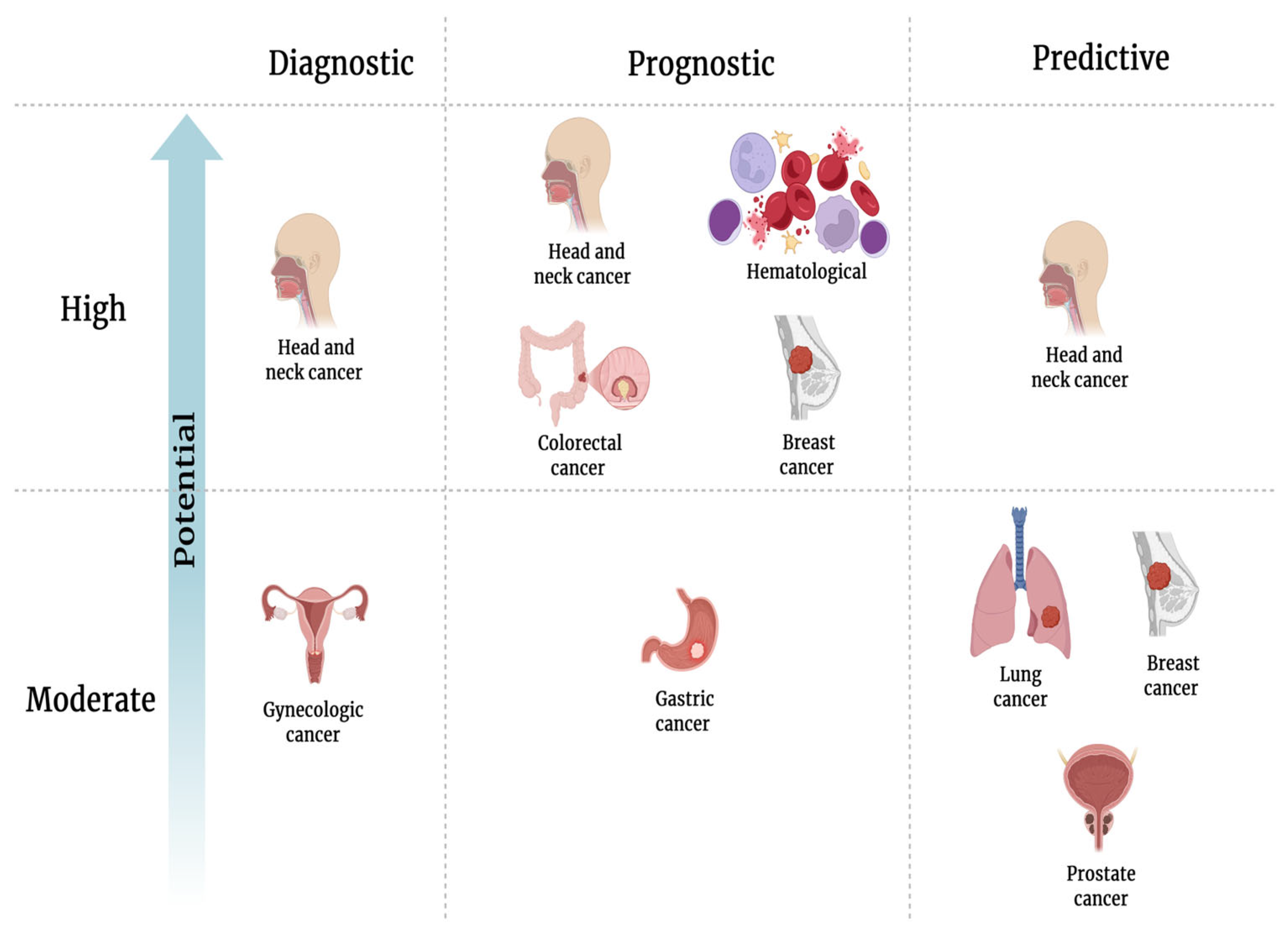 Biosensors 15 00796 g005