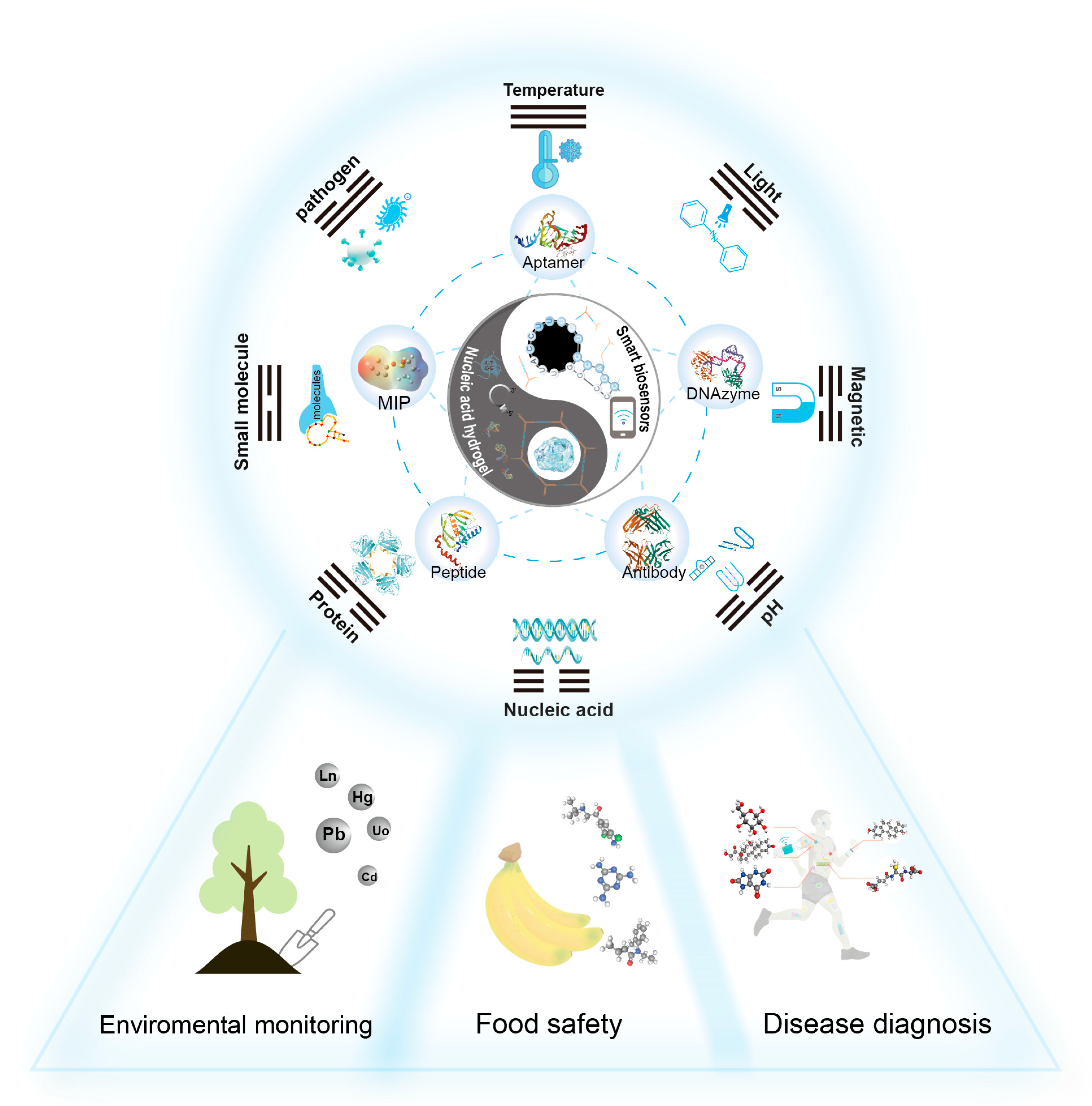 Biosensors 15 00799 g001 Biosensors 15 00799 g001