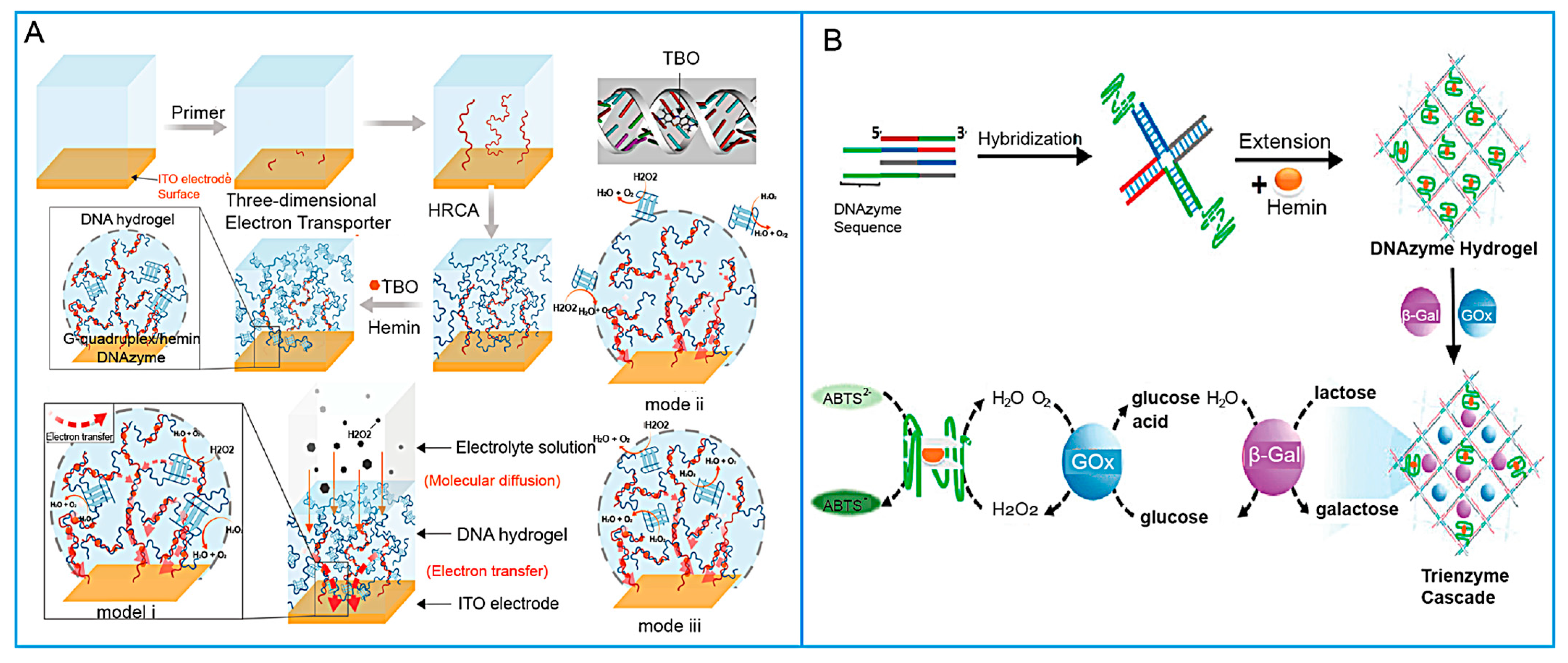 Biosensors 15 00799 g003 Biosensors 15 00799 g003