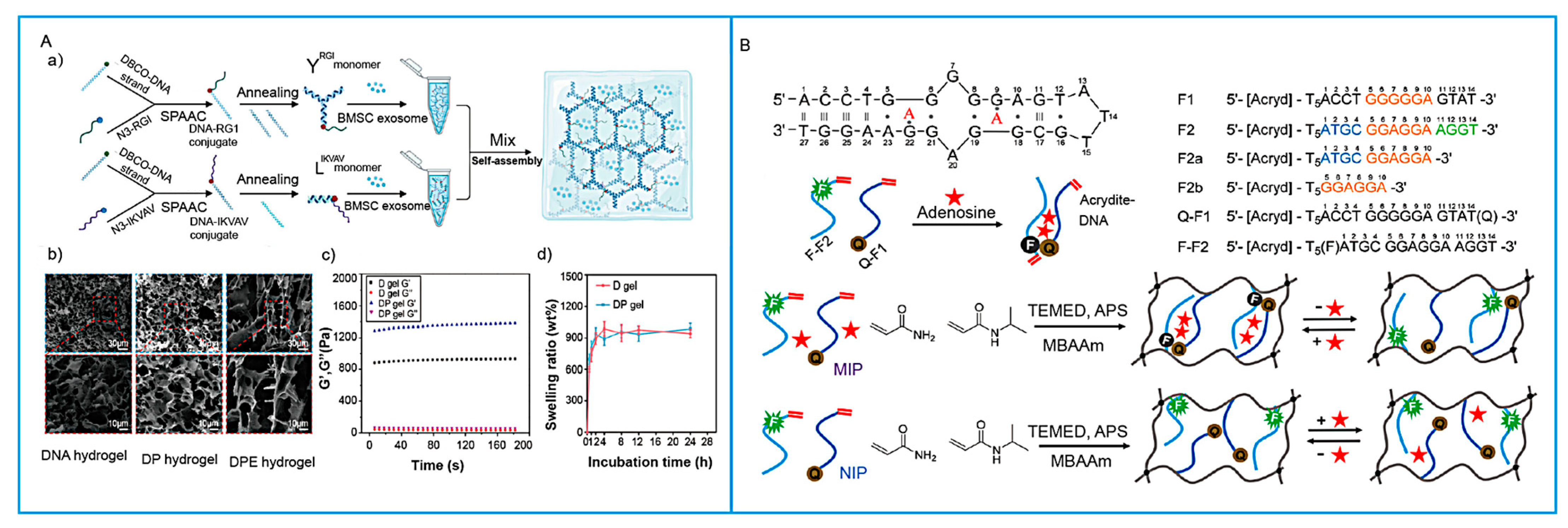 Biosensors 15 00799 g005 Biosensors 15 00799 g005