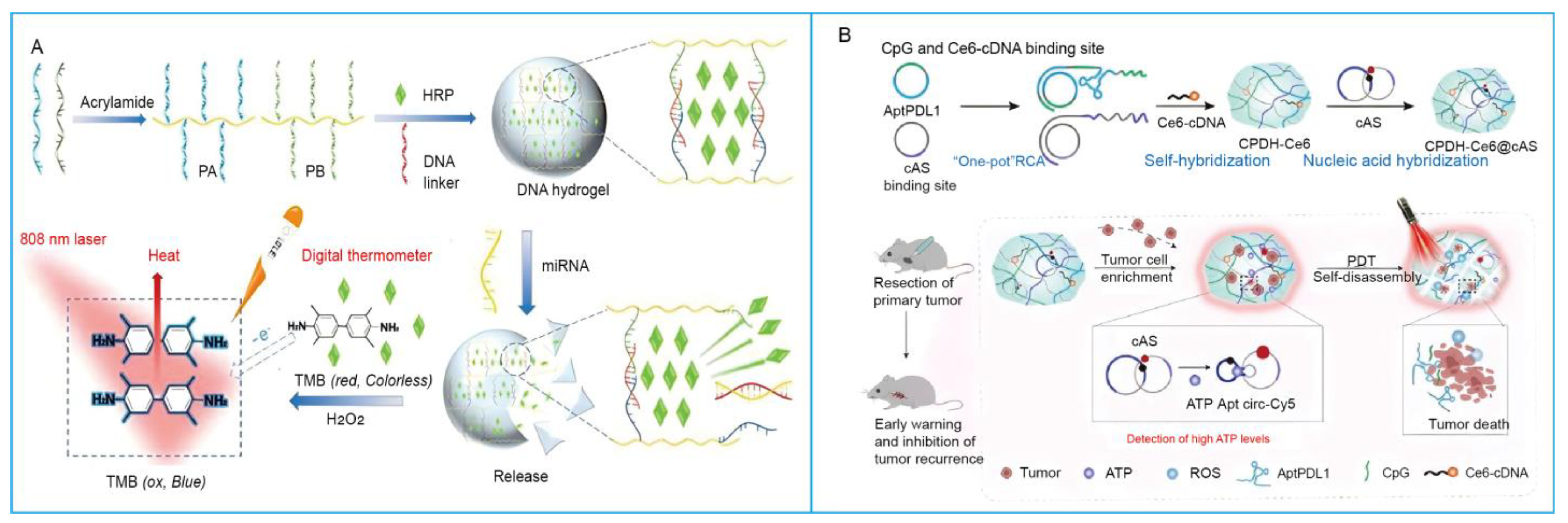 Biosensors 15 00799 g006 Biosensors 15 00799 g006