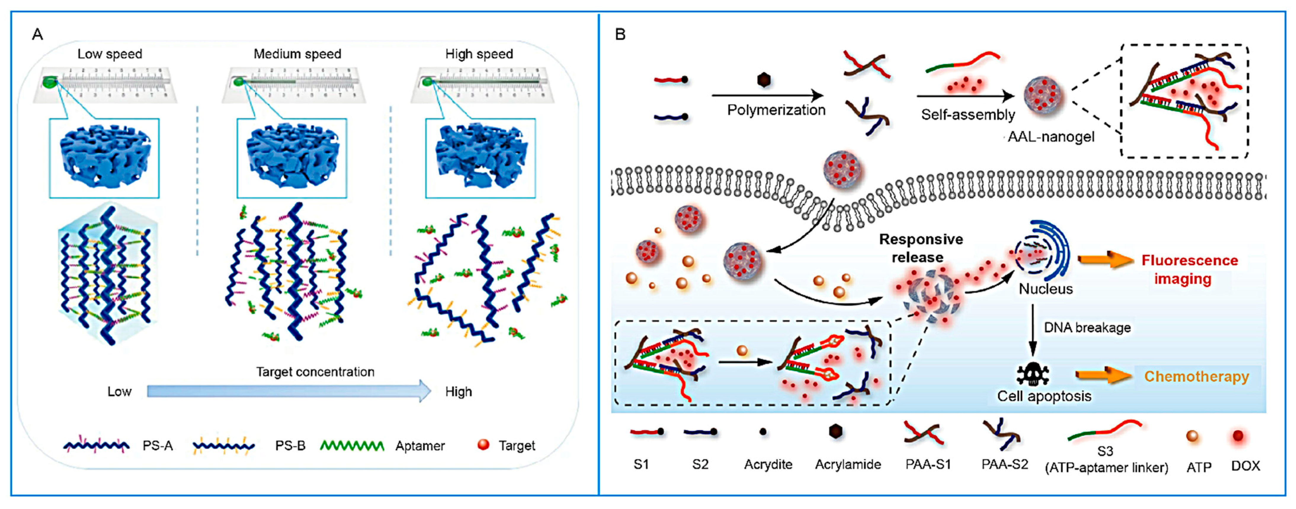 Biosensors 15 00799 g008 Biosensors 15 00799 g008