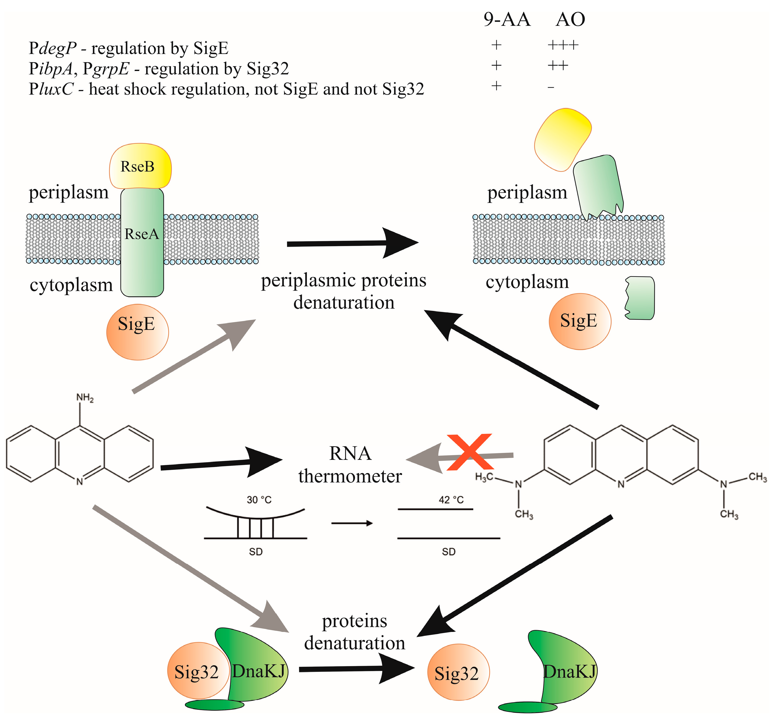 Biosensors 15 00800 g008