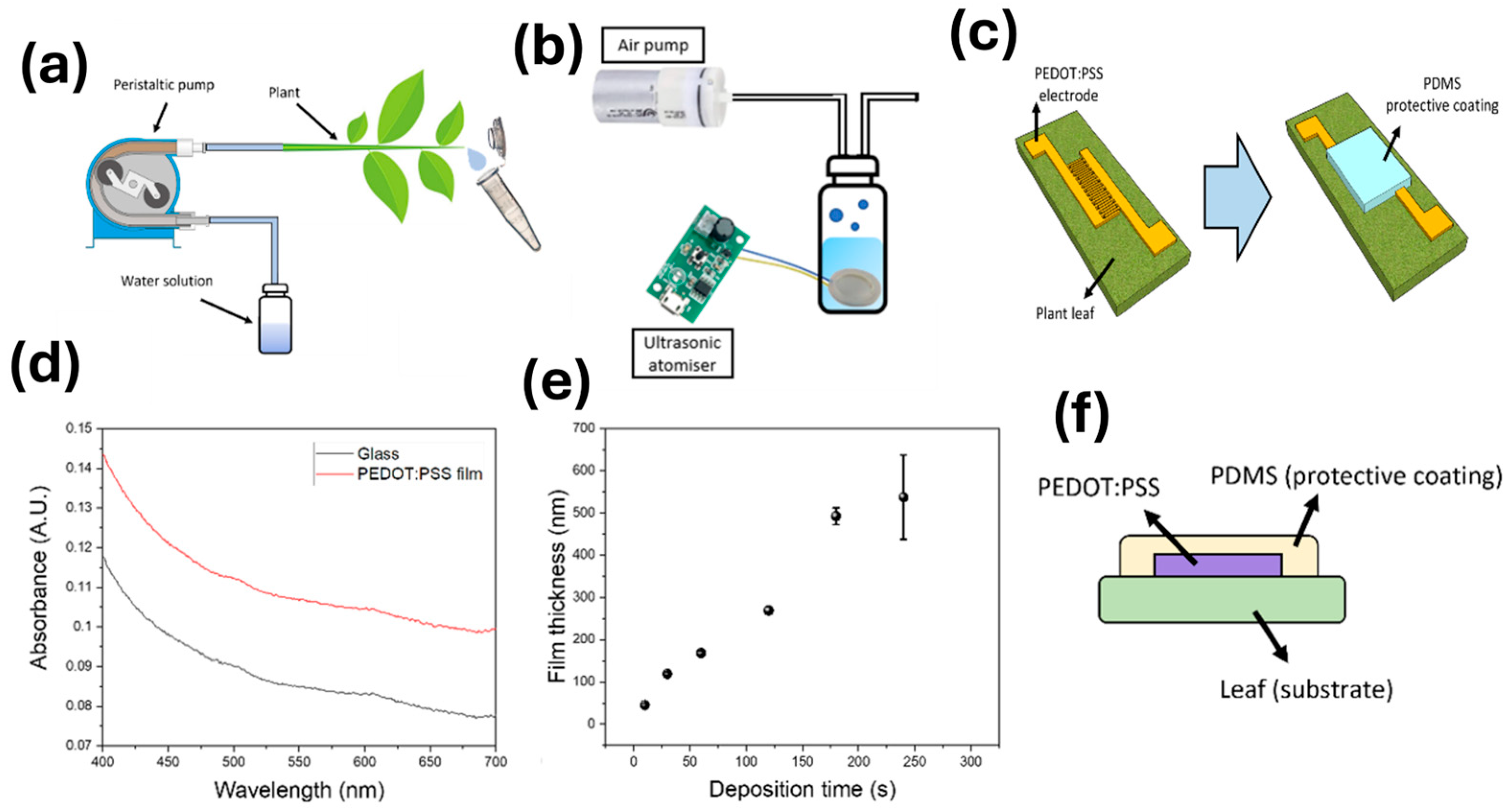 Biosensors 15 00805 g001 Biosensors 15 00805 g001