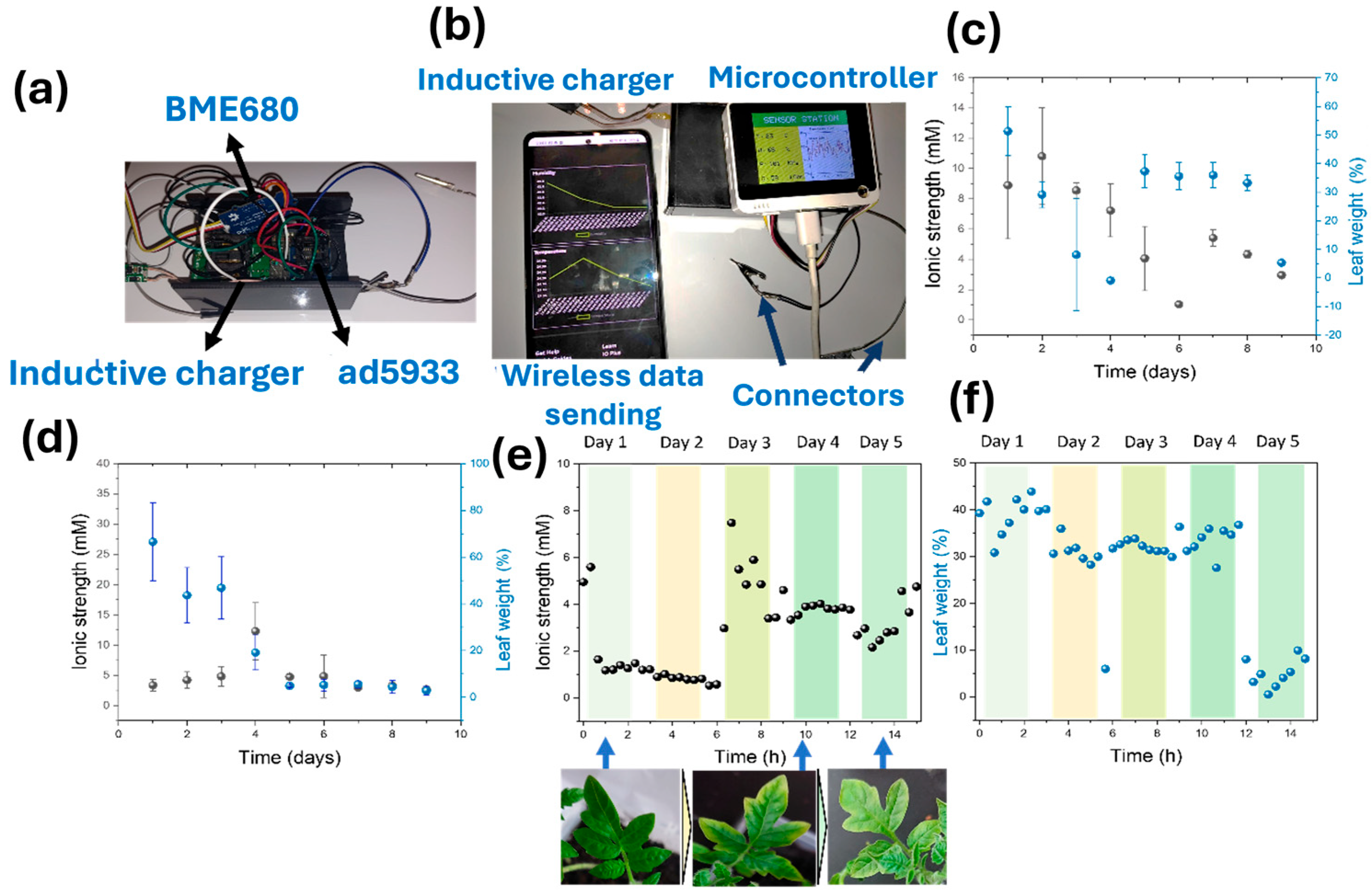 Biosensors 15 00805 g005 Biosensors 15 00805 g005