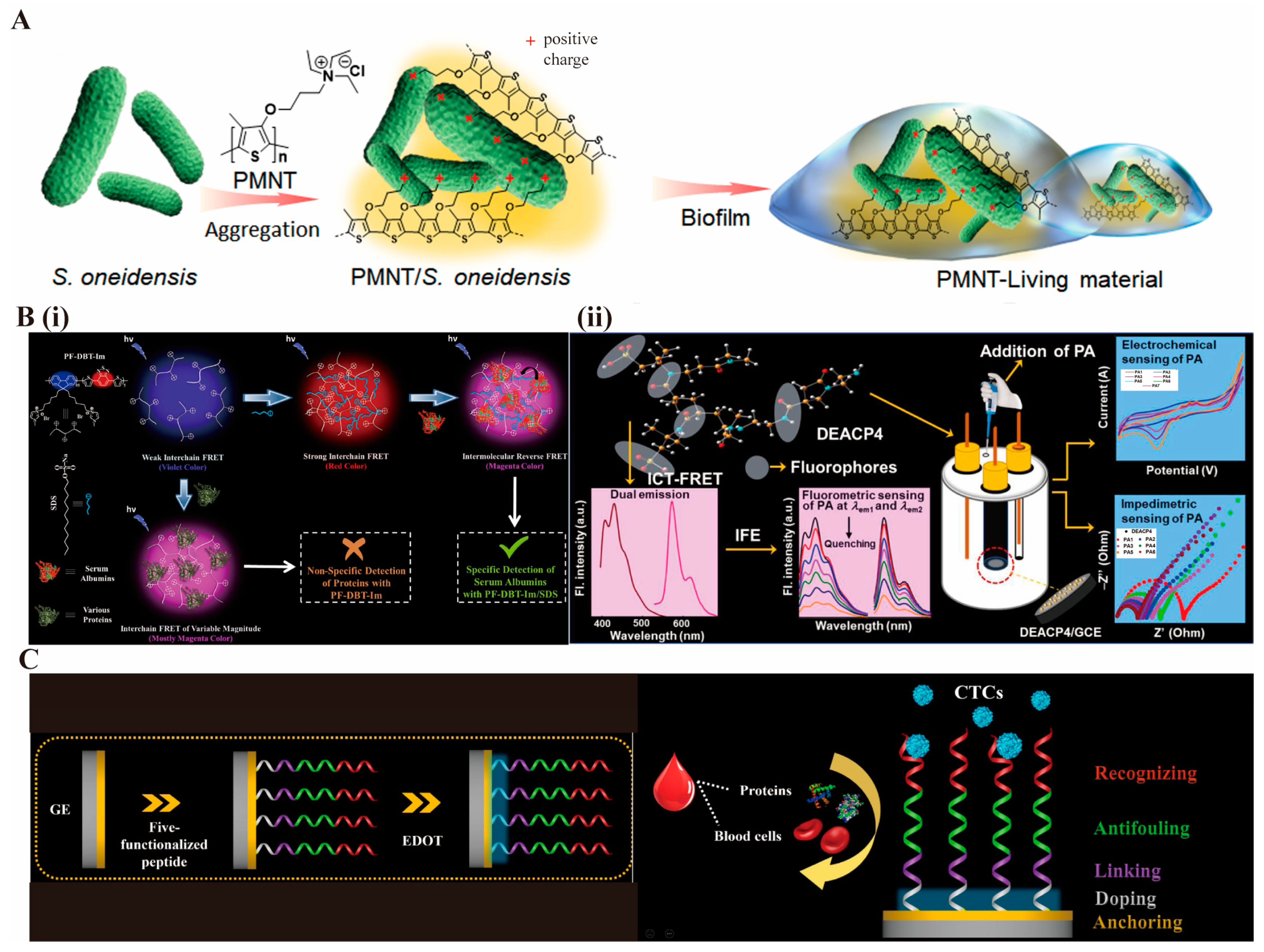 Biosensors 15 00808 g001 Biosensors 15 00808 g001