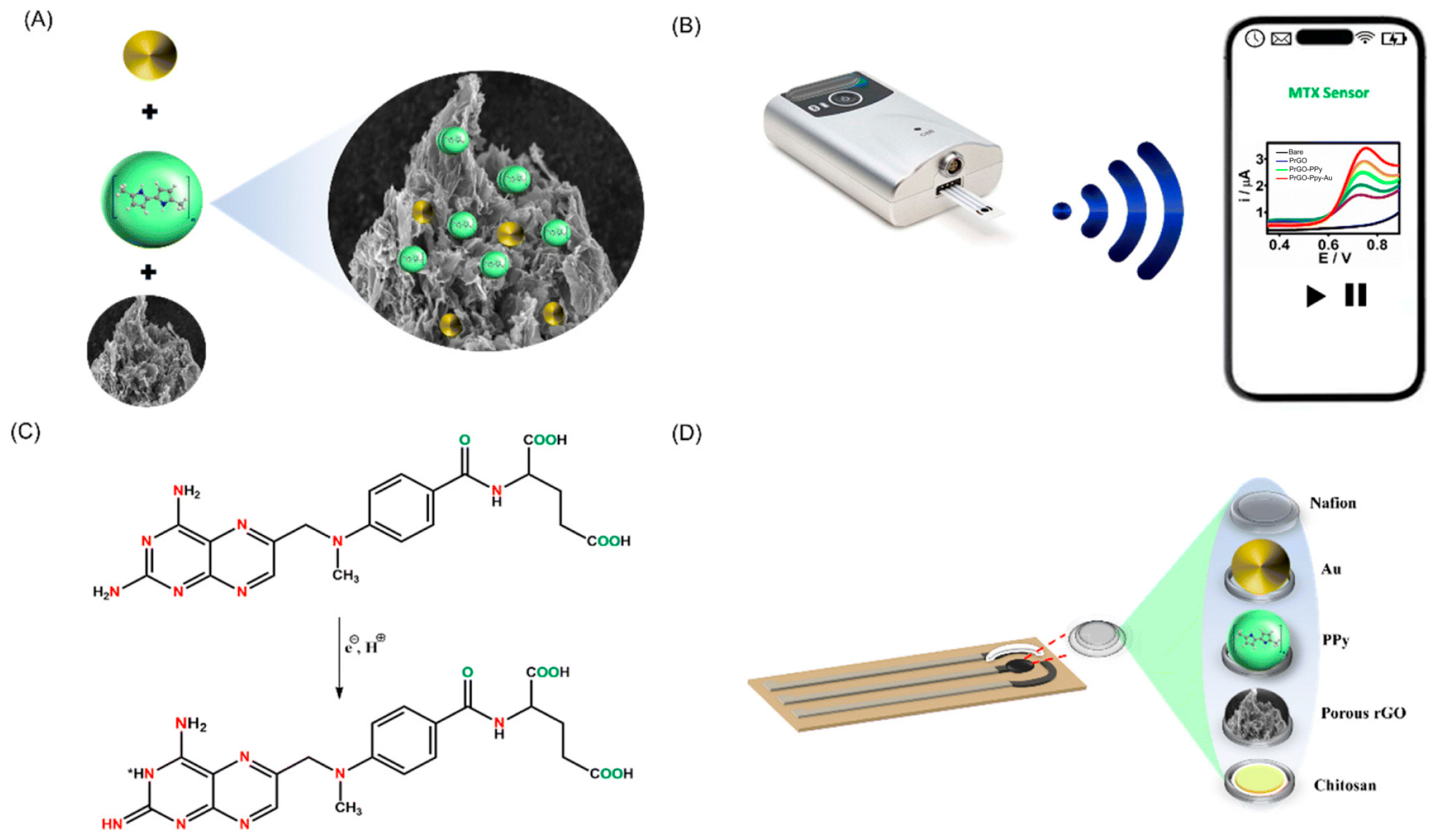 Biosensors 15 00808 g002 Biosensors 15 00808 g002