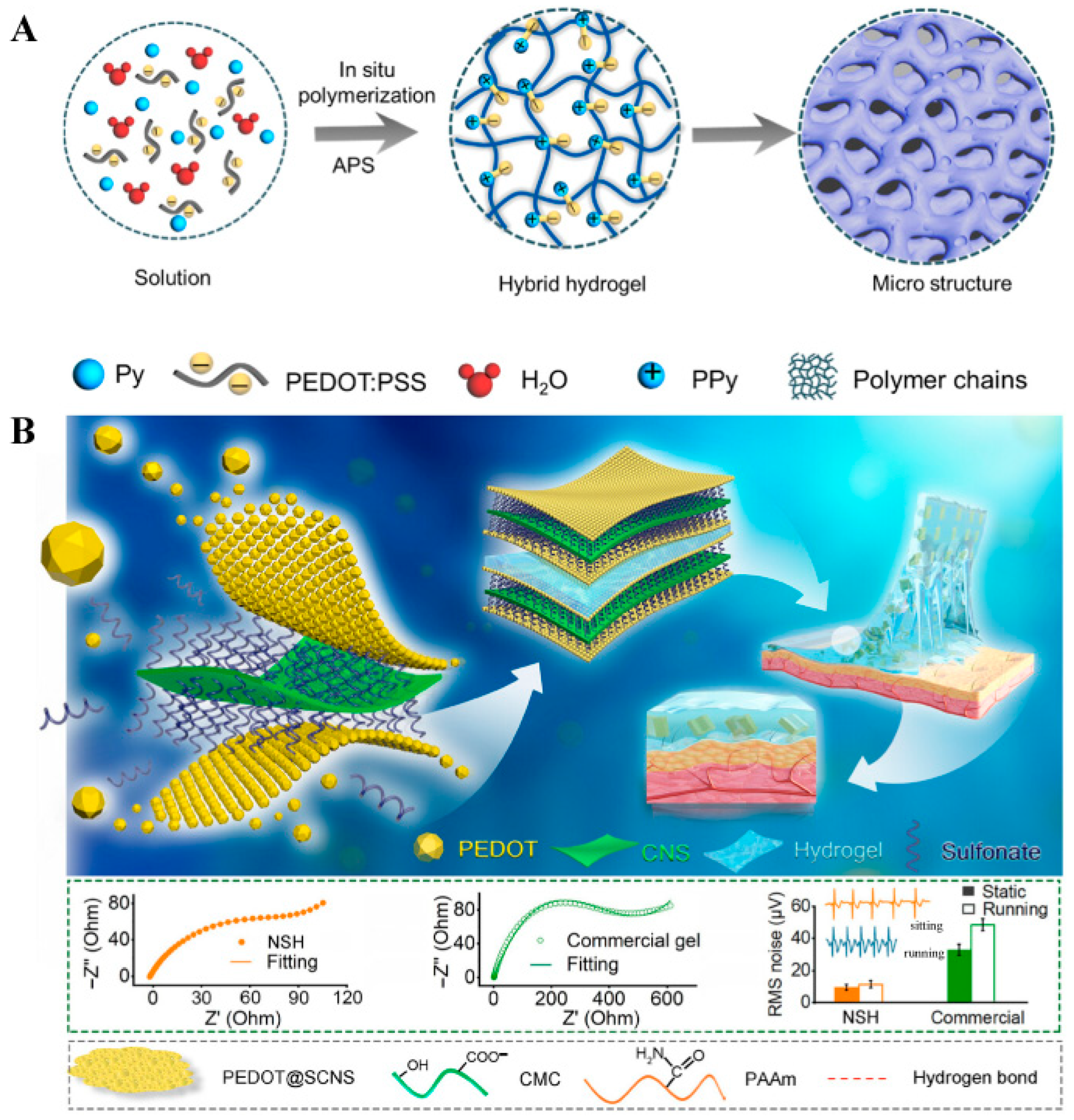 Biosensors 15 00808 g003 Biosensors 15 00808 g003