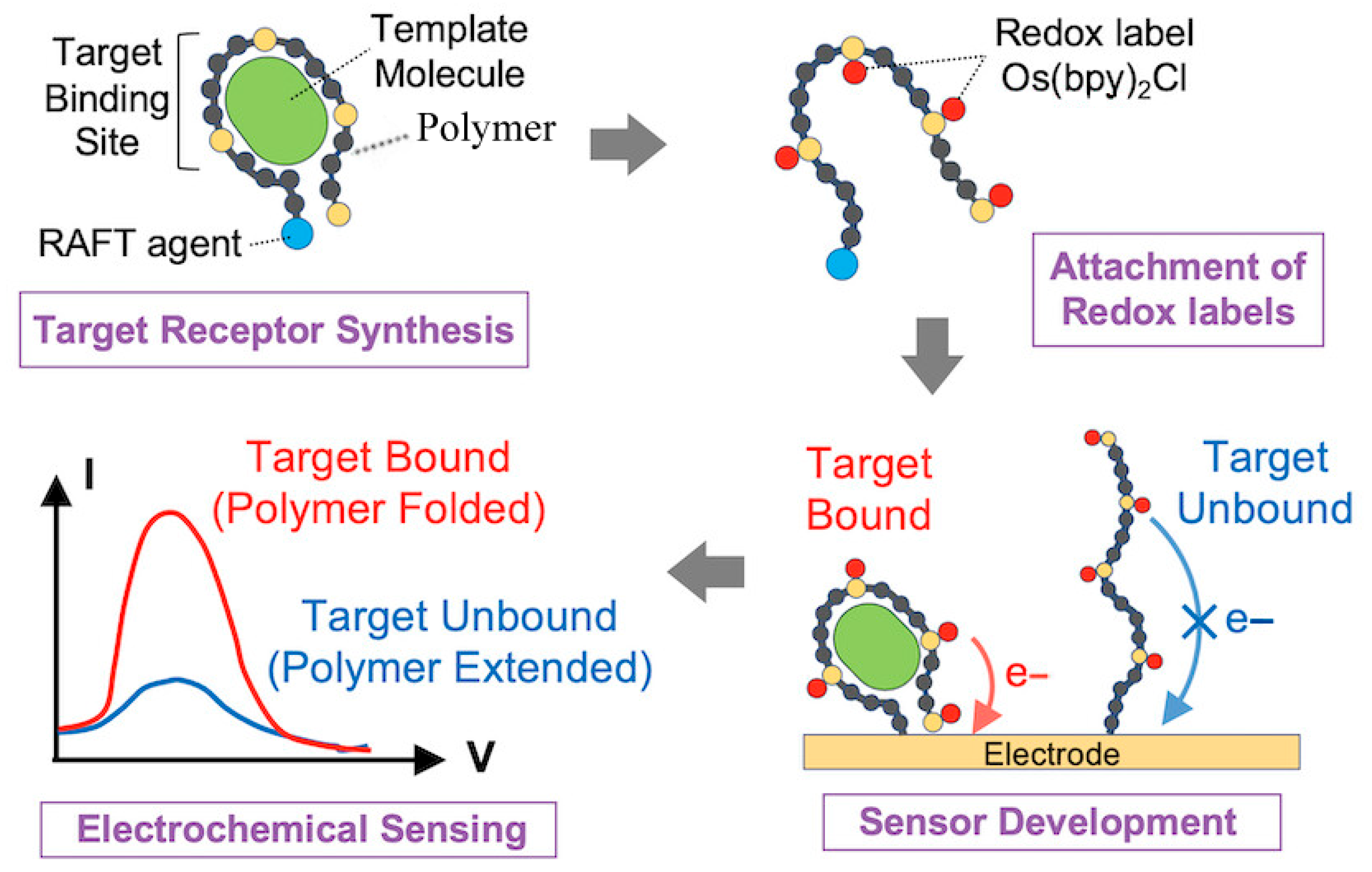 Biosensors 15 00808 g005 Biosensors 15 00808 g005
