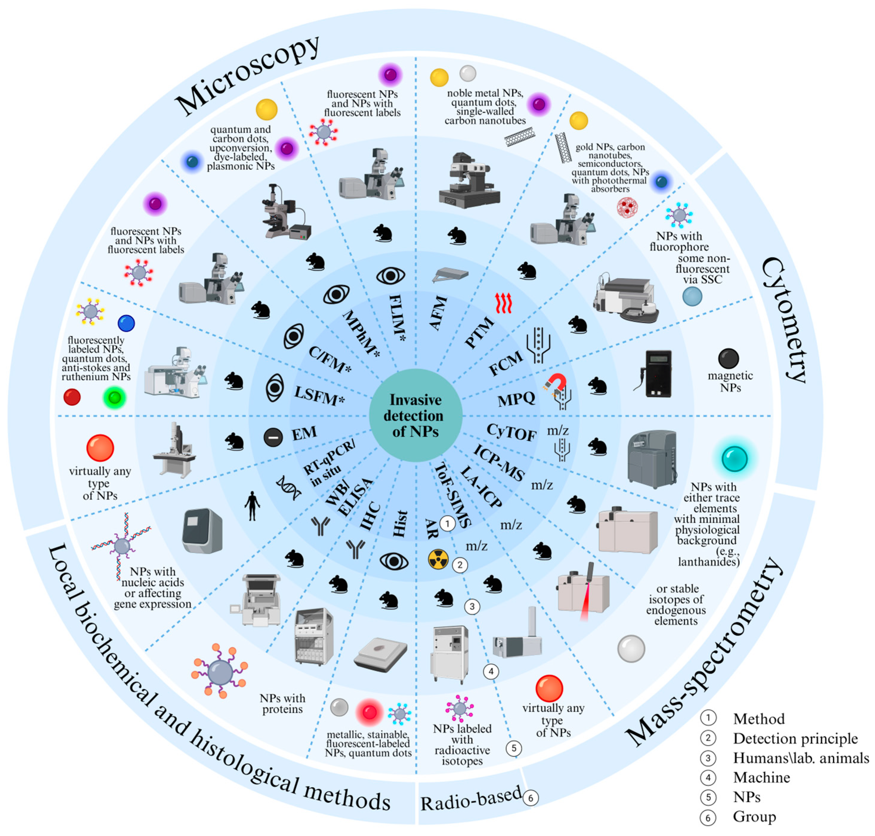 Biosensors 15 00809 g002 Biosensors 15 00809 g002