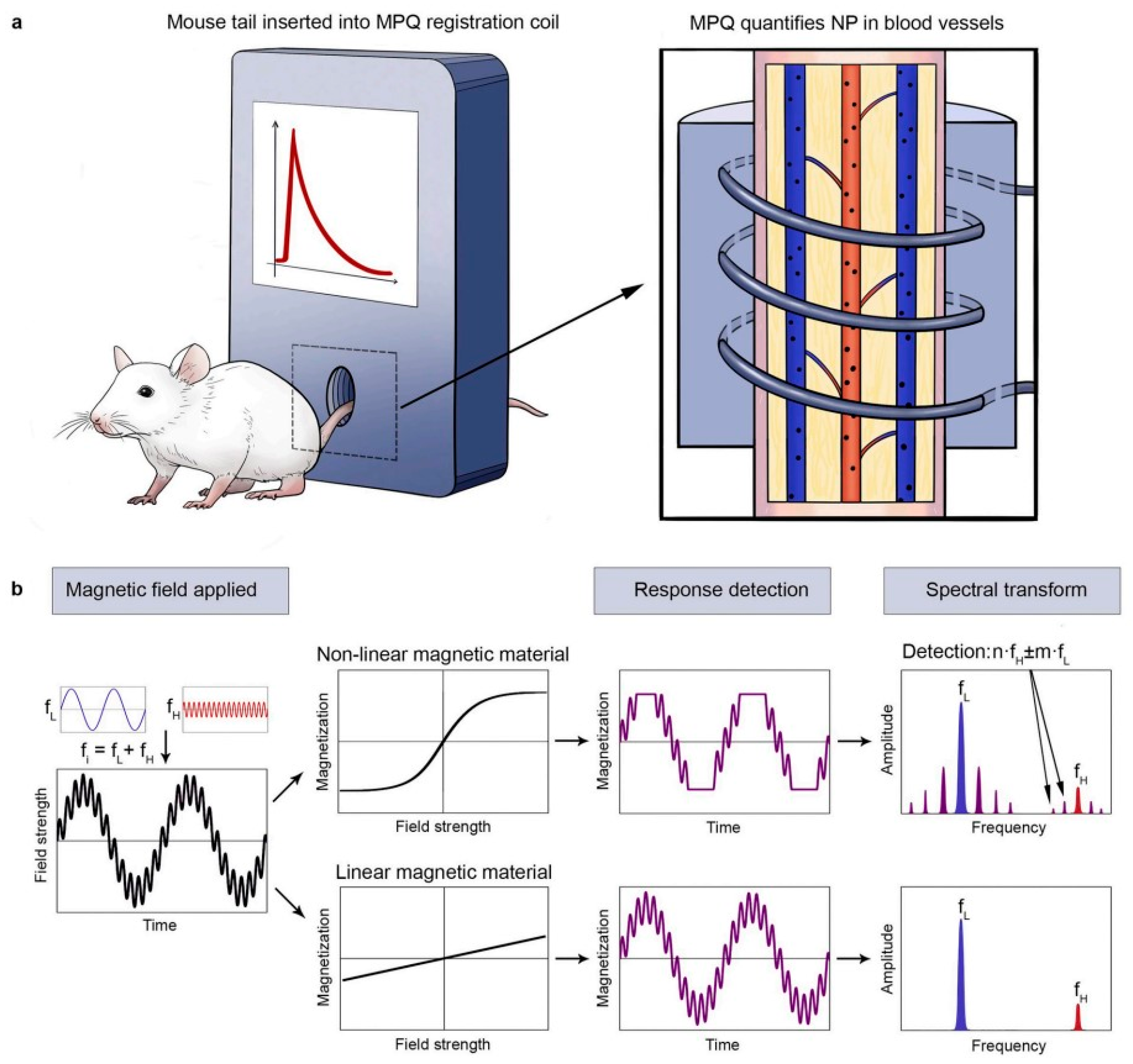Biosensors 15 00809 g005 Biosensors 15 00809 g005