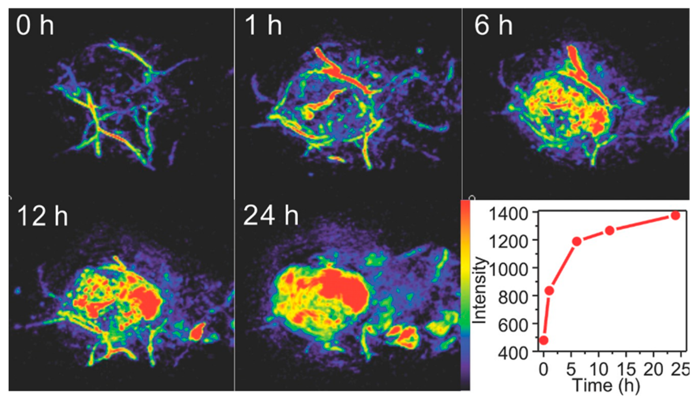 Biosensors 15 00809 g007 Biosensors 15 00809 g007