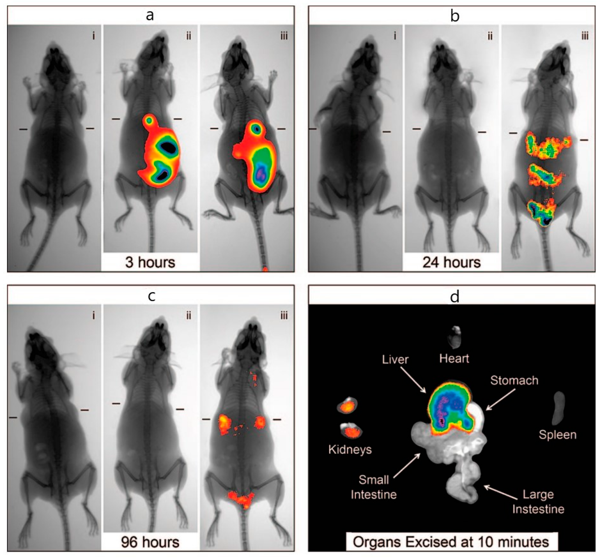 Biosensors 15 00809 g009 Biosensors 15 00809 g009