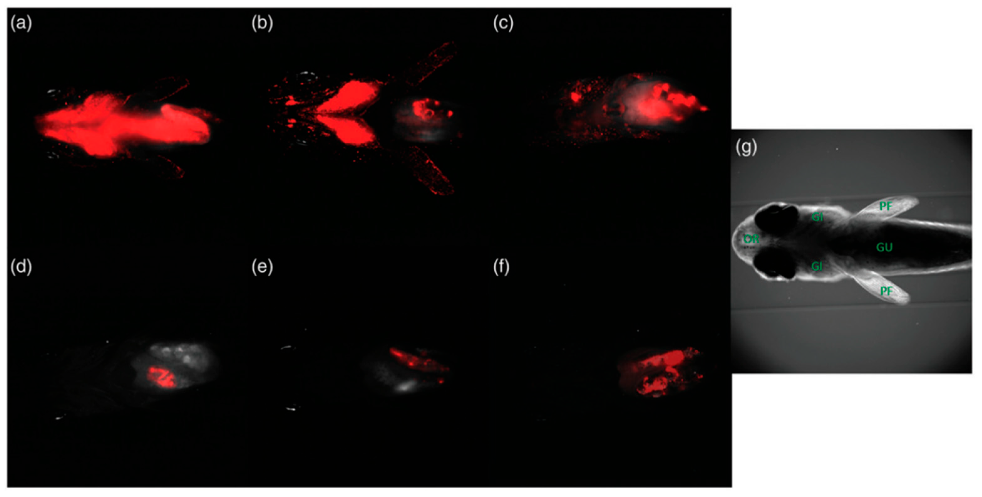 Biosensors 15 00809 g010 Biosensors 15 00809 g010