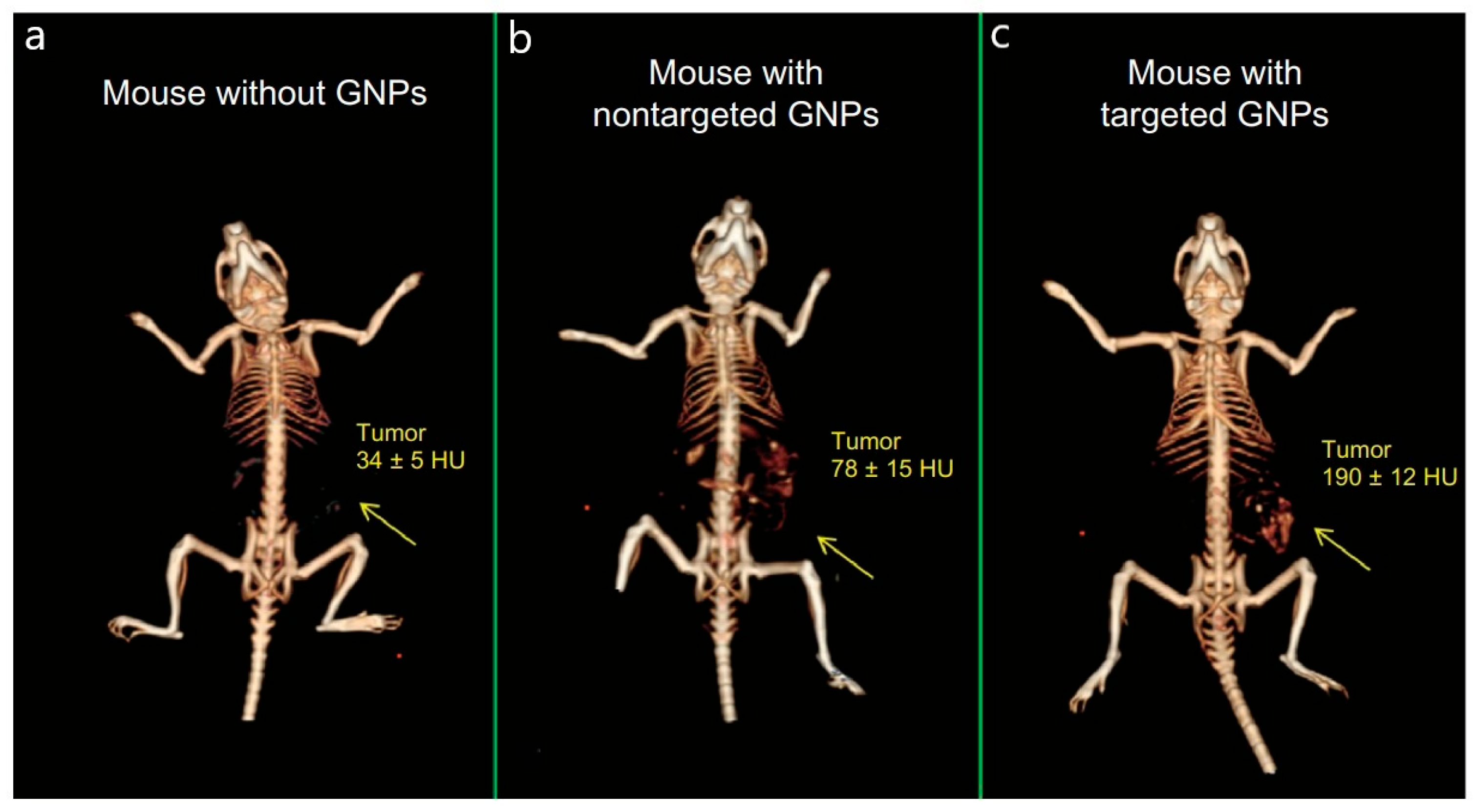 Biosensors 15 00809 g014 Biosensors 15 00809 g014