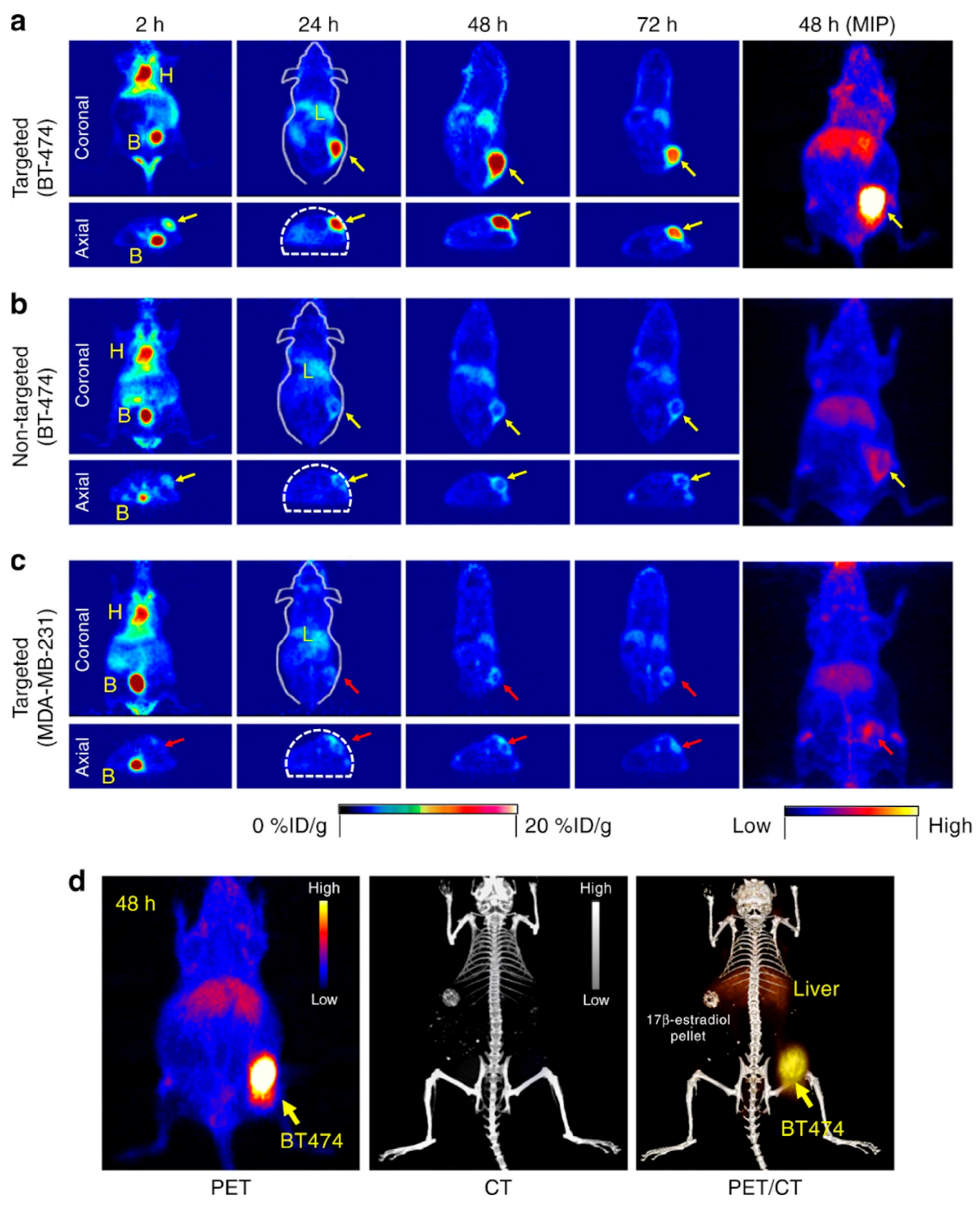 Biosensors 15 00809 g015 Biosensors 15 00809 g015