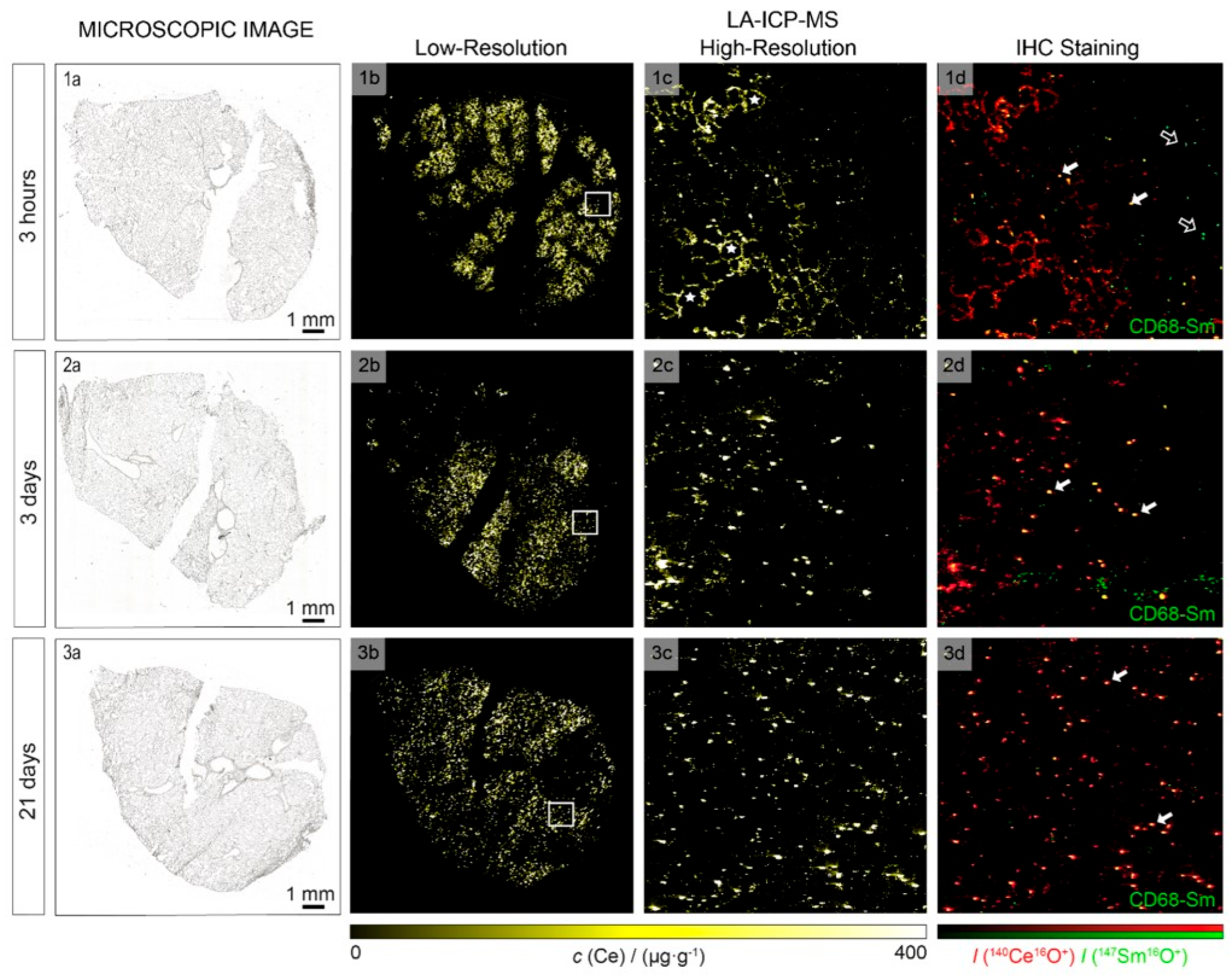 Biosensors 15 00809 g026 Biosensors 15 00809 g026