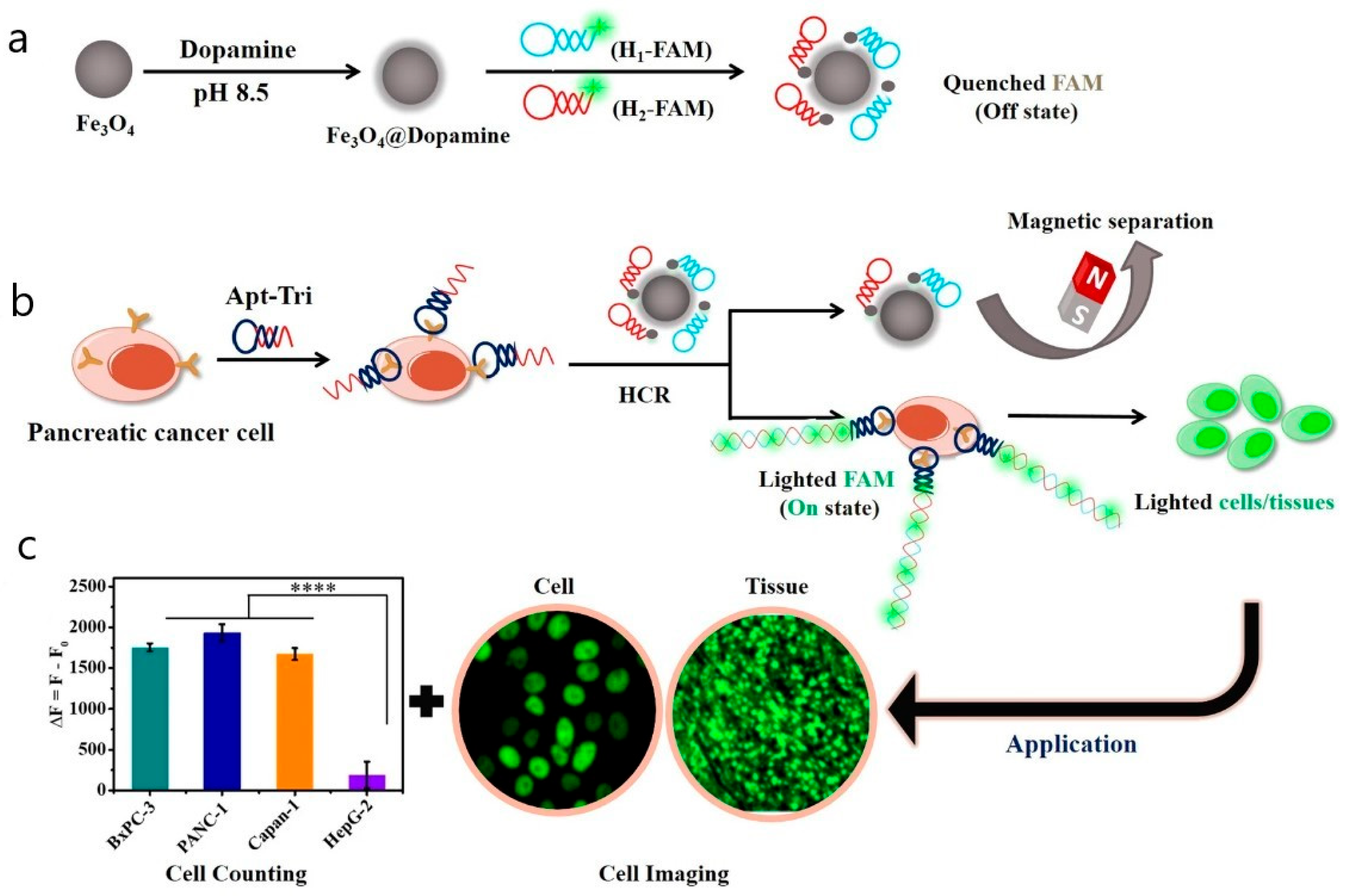 Biosensors 15 00809 g032 Biosensors 15 00809 g032
