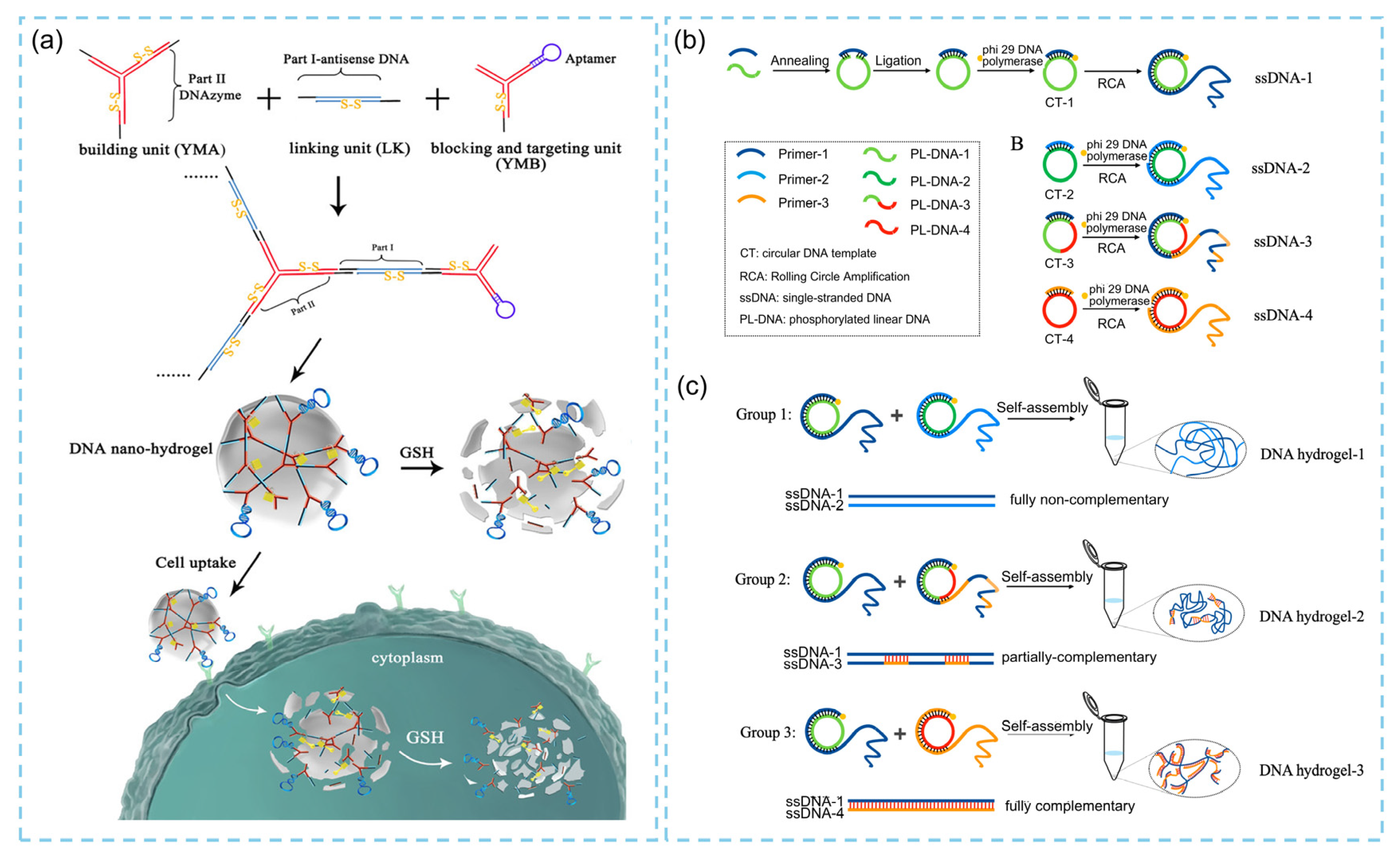 Biosensors 15 00819 g001 Biosensors 15 00819 g001