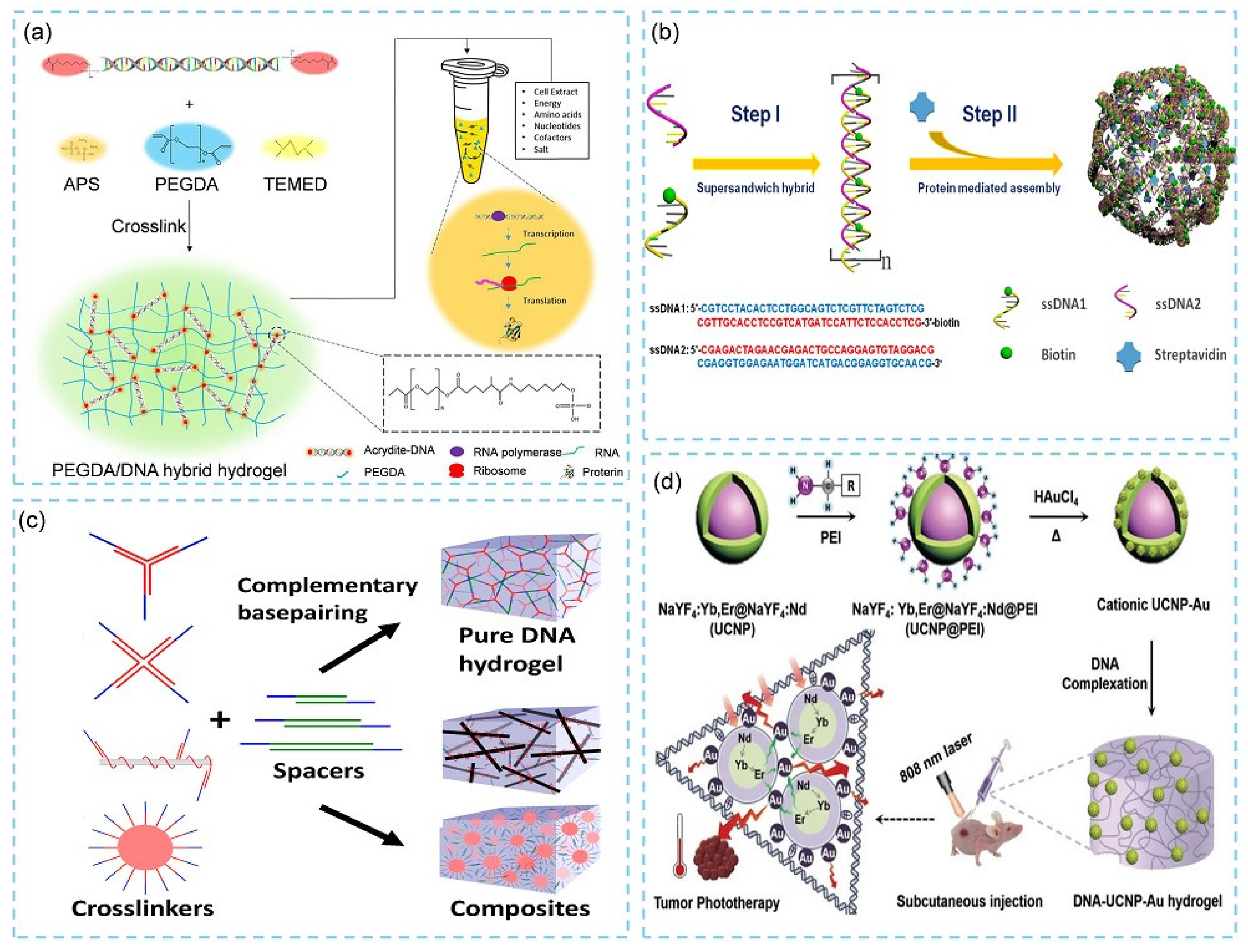 Biosensors 15 00819 g002 Biosensors 15 00819 g002