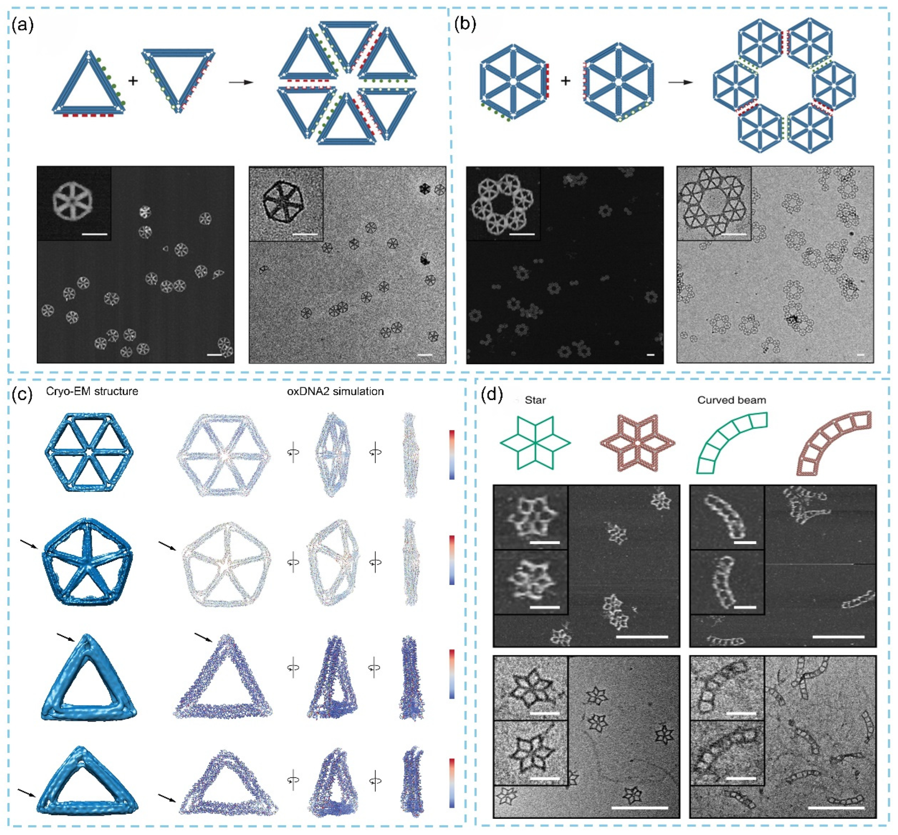 Biosensors 15 00819 g006 Biosensors 15 00819 g006