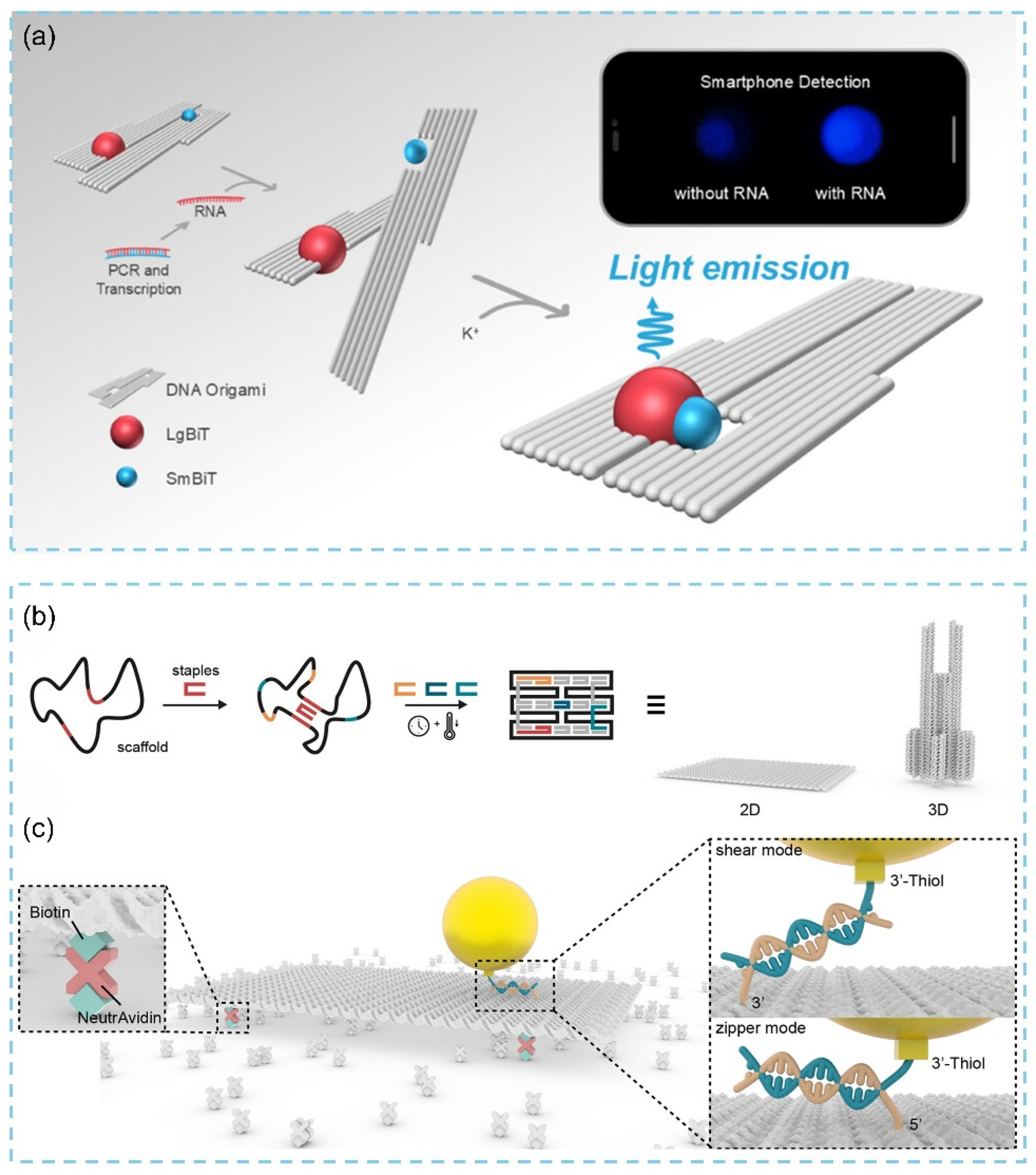 Biosensors 15 00819 g007 Biosensors 15 00819 g007