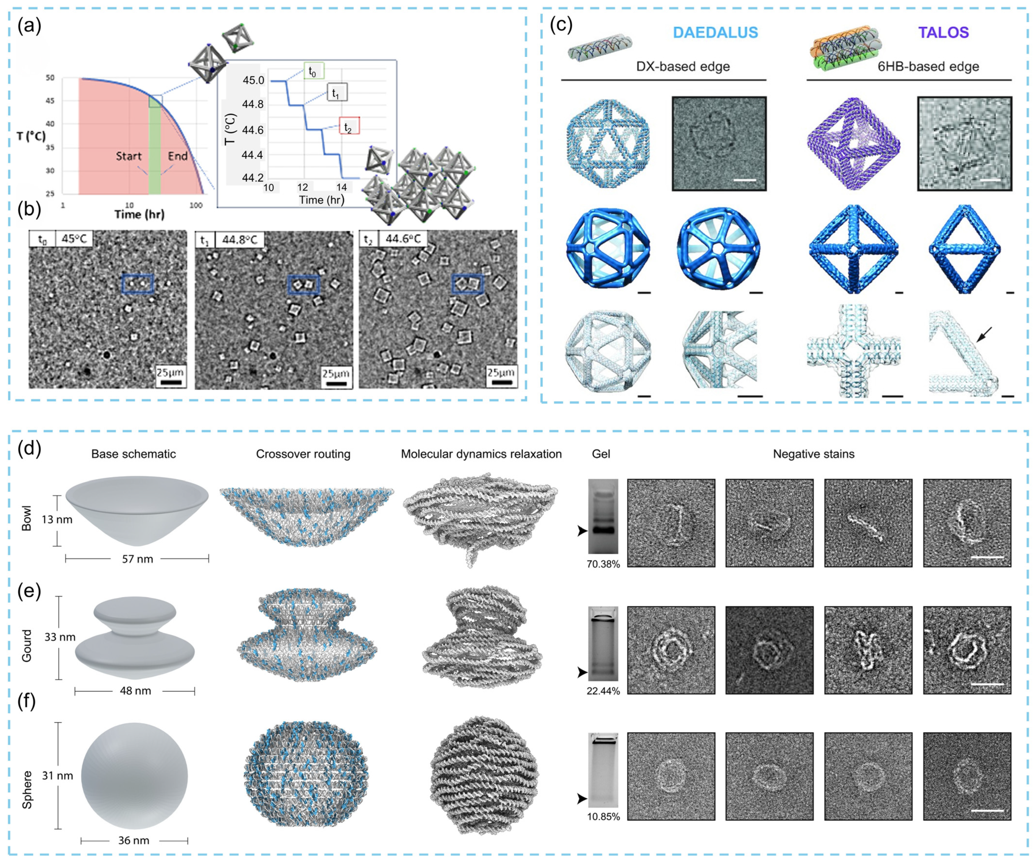 Biosensors 15 00819 g008 Biosensors 15 00819 g008