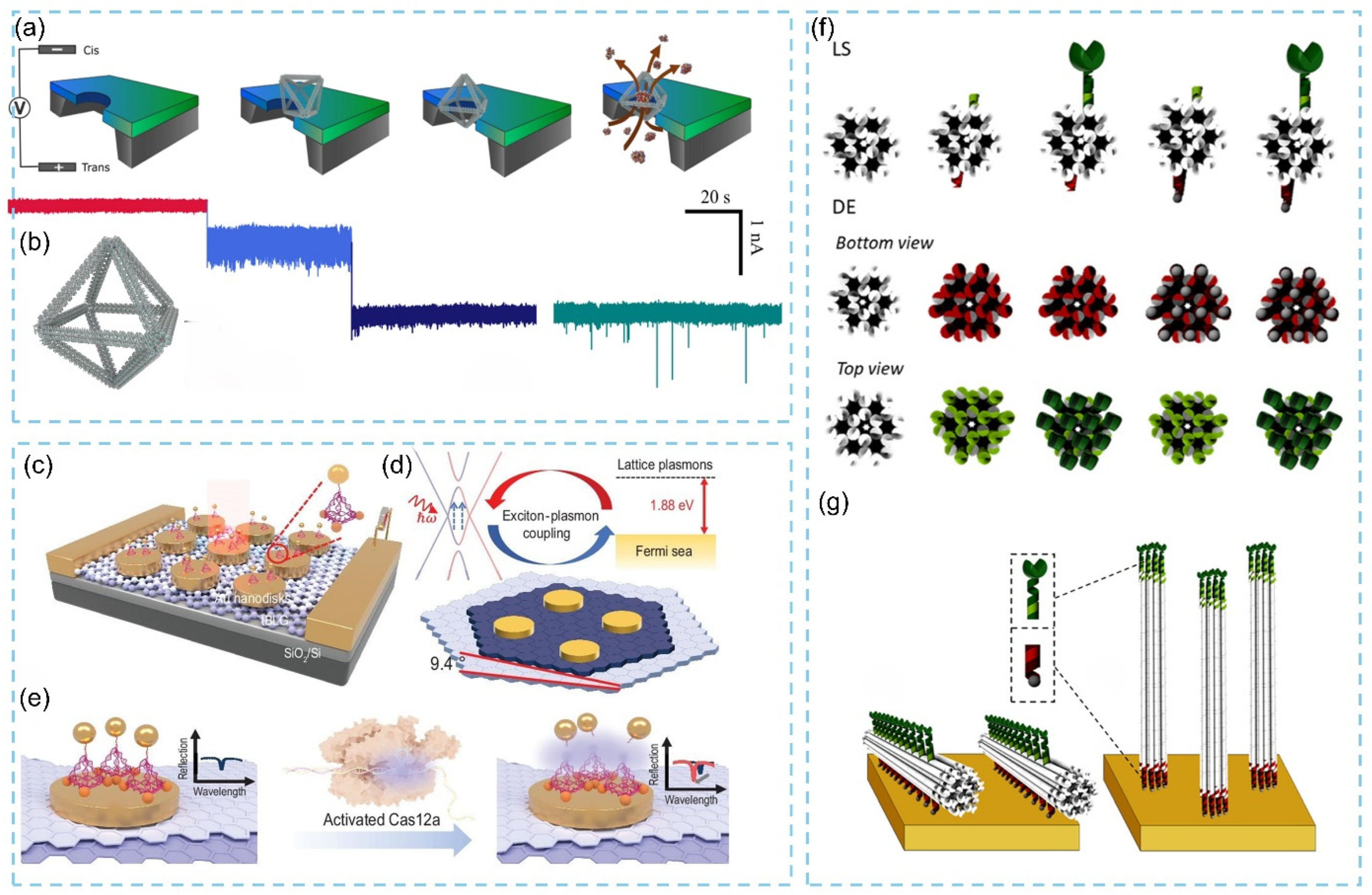 Biosensors 15 00819 g009 Biosensors 15 00819 g009