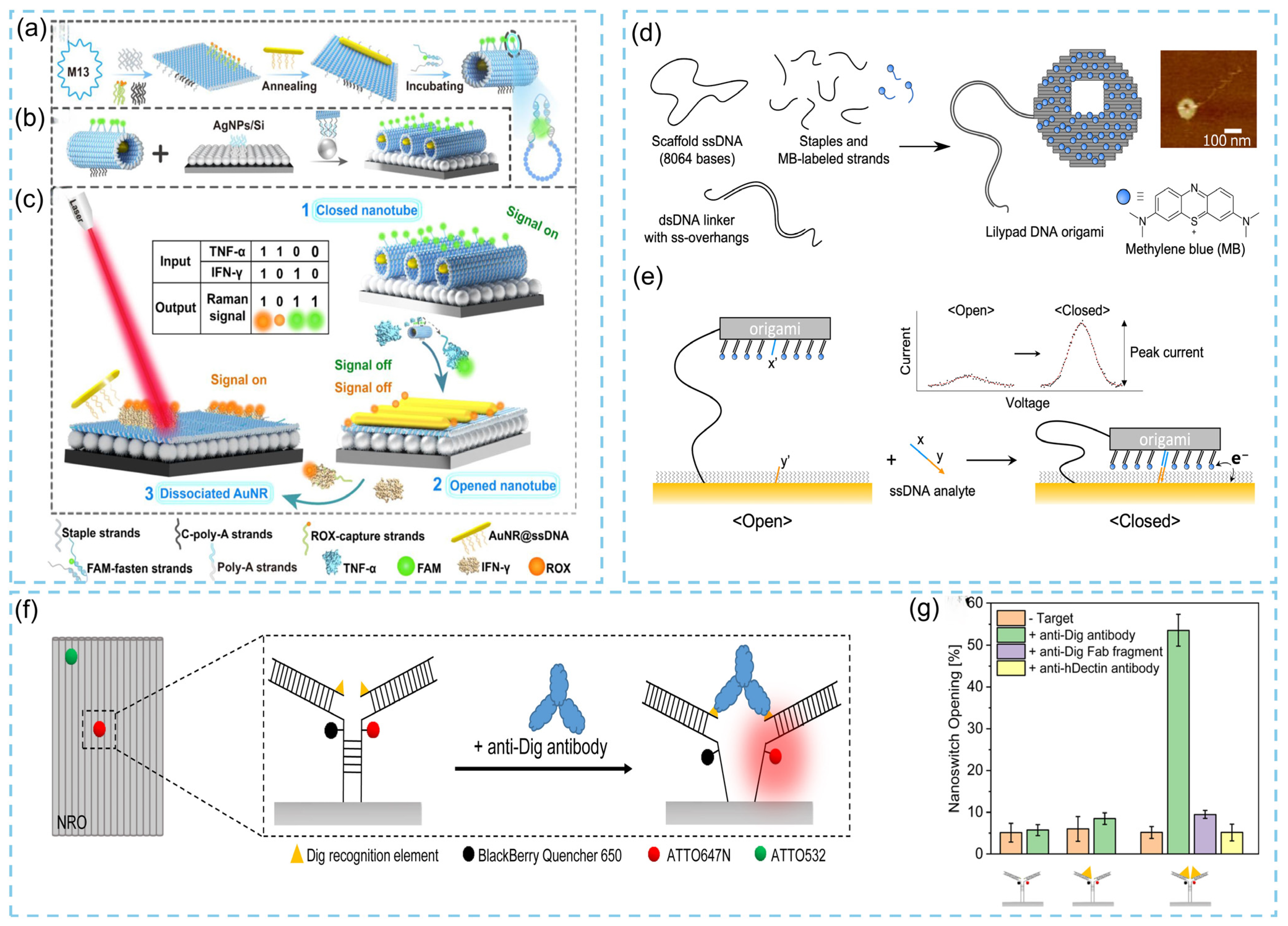 Biosensors 15 00819 g010 Biosensors 15 00819 g010