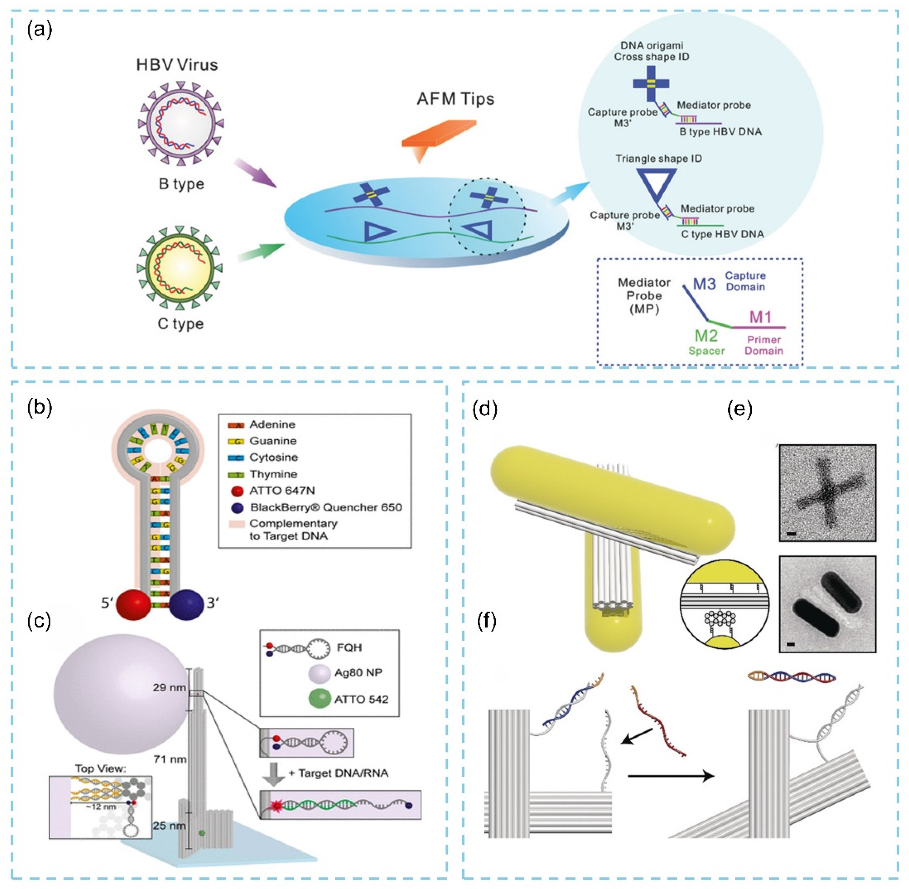 Biosensors 15 00819 g013 Biosensors 15 00819 g013