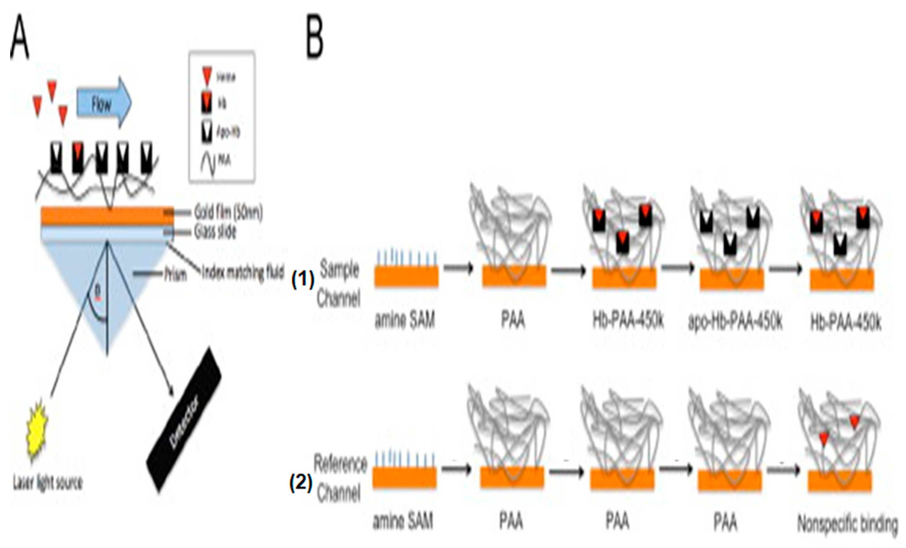 Biosensors 16 00004 g006