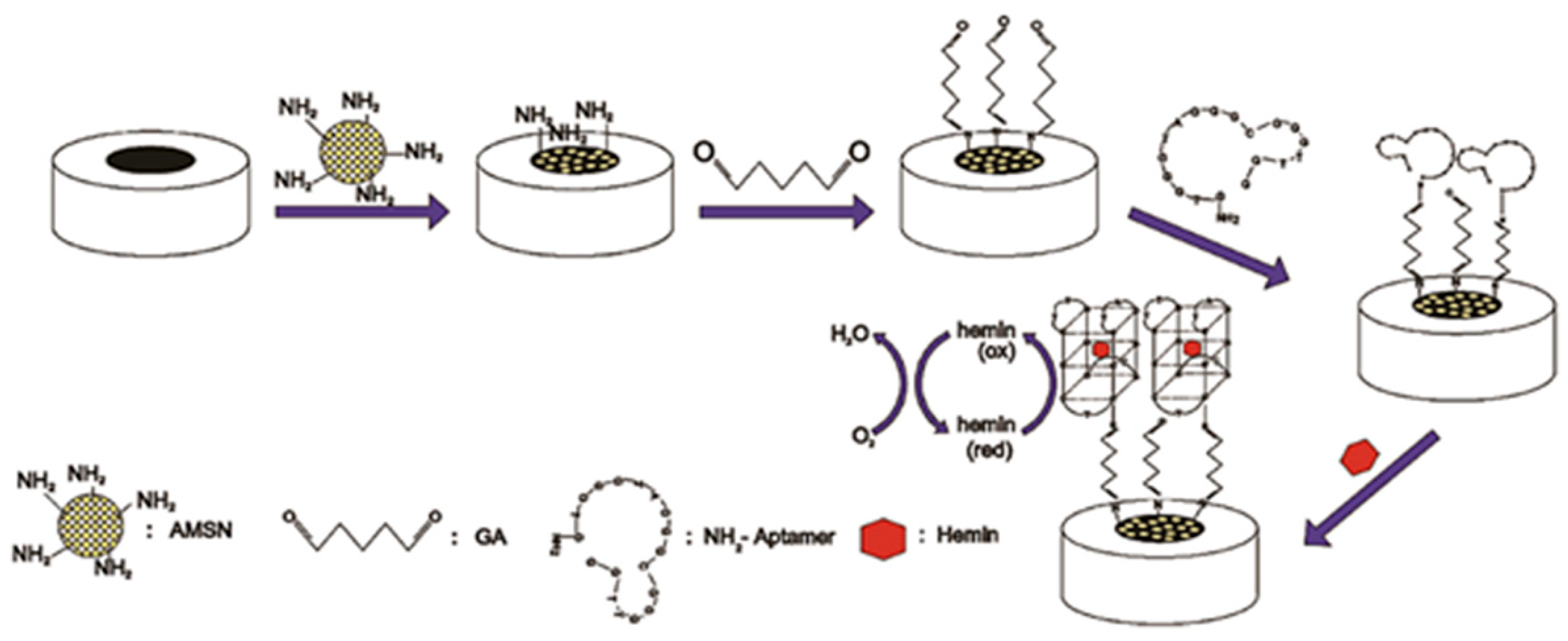 Biosensors 16 00004 g008