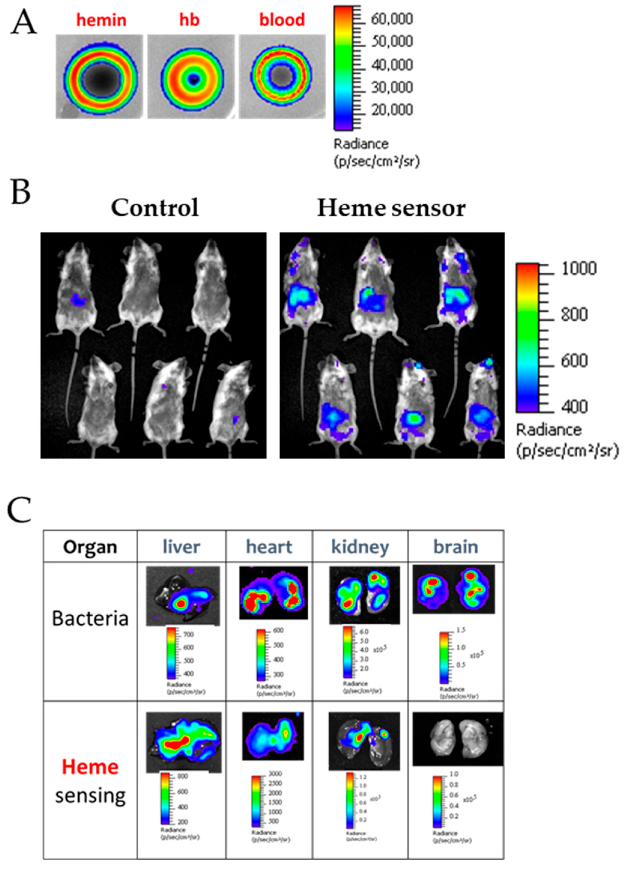 Biosensors 16 00004 g010